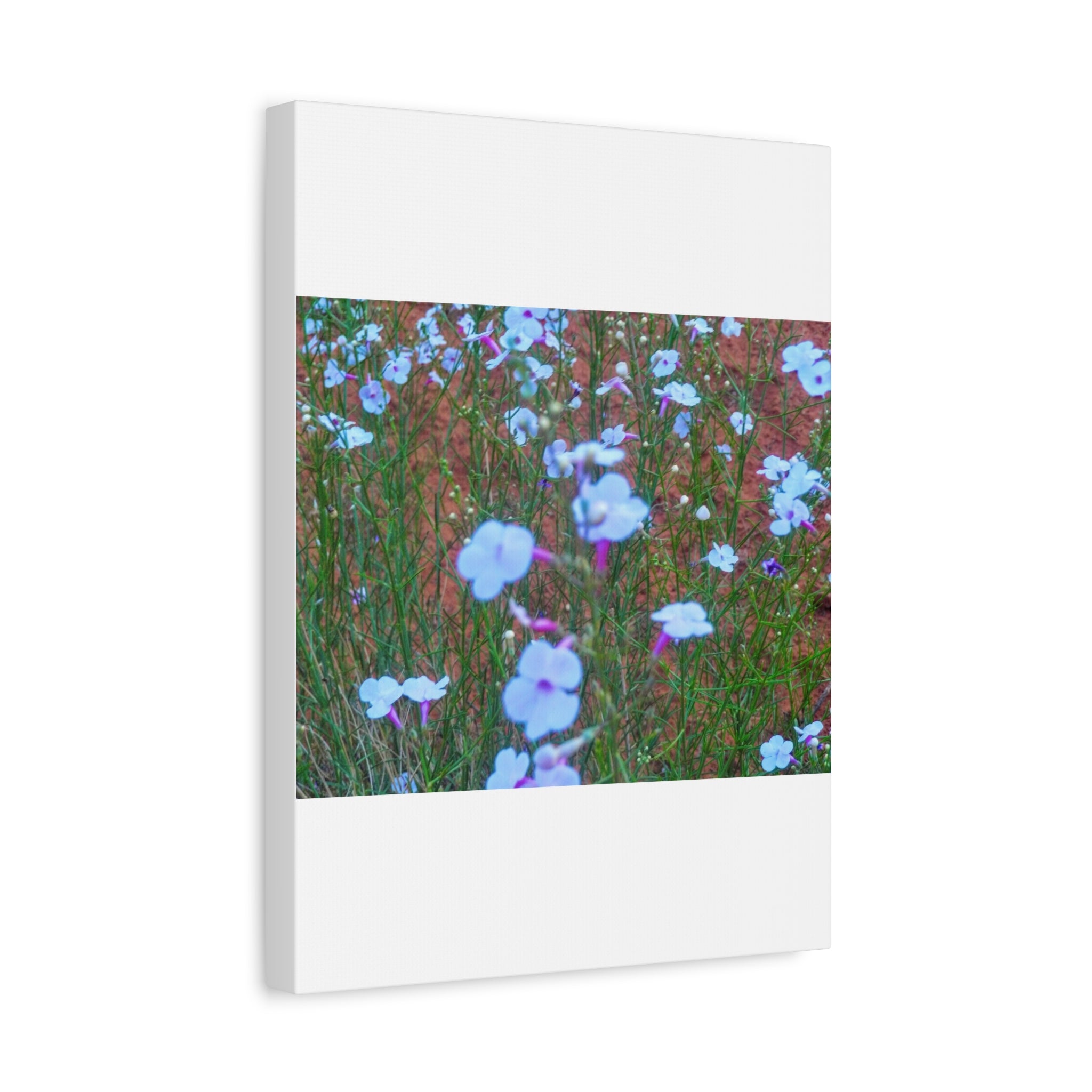 Floral Canvas Wall Art, Home Decor, Wall Hanging, Gift Idea, Nature Art, Flower Print
