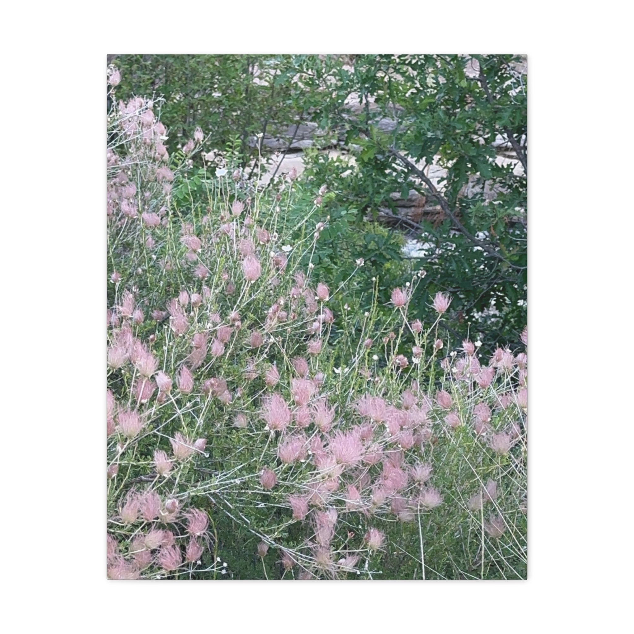 Floral Wall Art Canvas, Home Decor, Nature Lover Gift, Botanical Print, Spring Decor, Mother’s Day