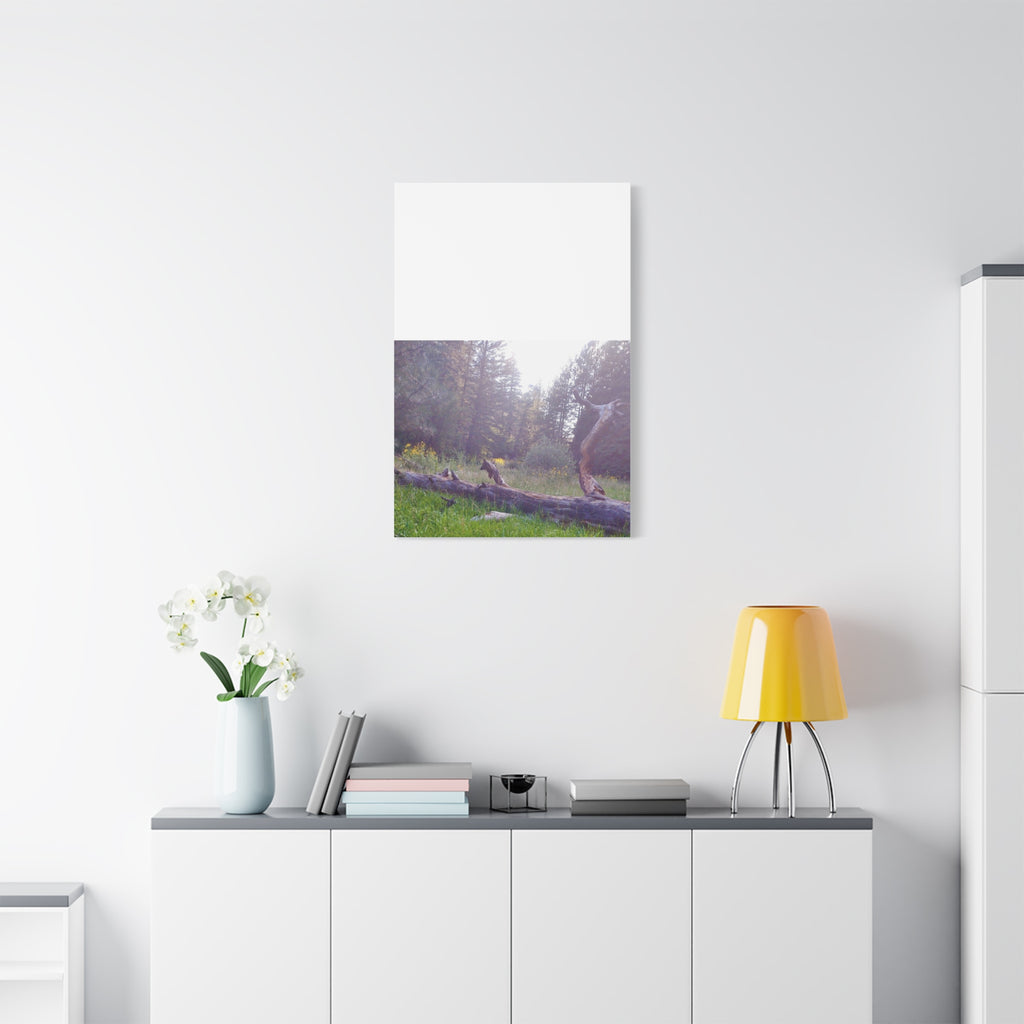 Matte Canvas Wall Art - Serene Nature Scene, Perfect for Home Decor, Gift for Nature Lovers, Office Wall Decoration, Rustic Art Print