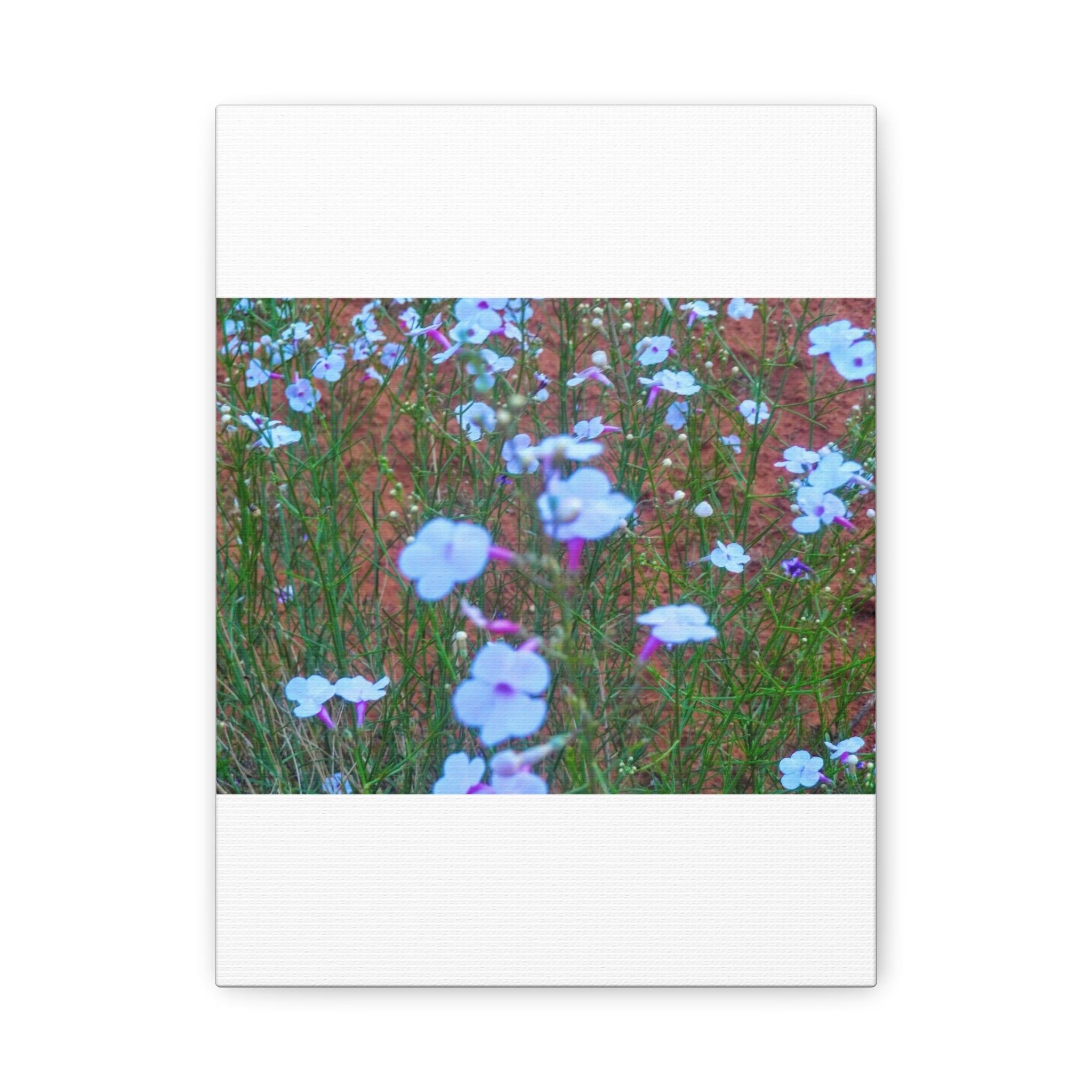 Floral Canvas Wall Art, Home Decor, Wall Hanging, Gift Idea, Nature Art, Flower Print