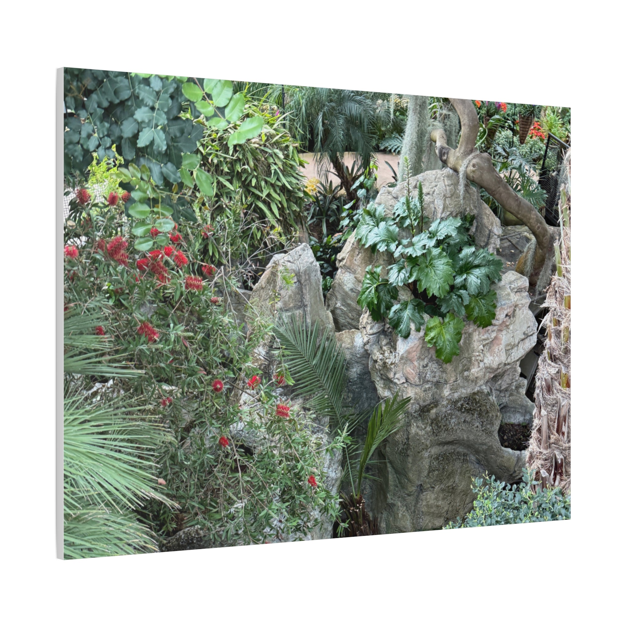 Garden Landscape Canvas Wall Art, Nature Decor, Home Decoration, Gift for Nature Lovers, Eco-Friendly Art, Botanical Wall Decor