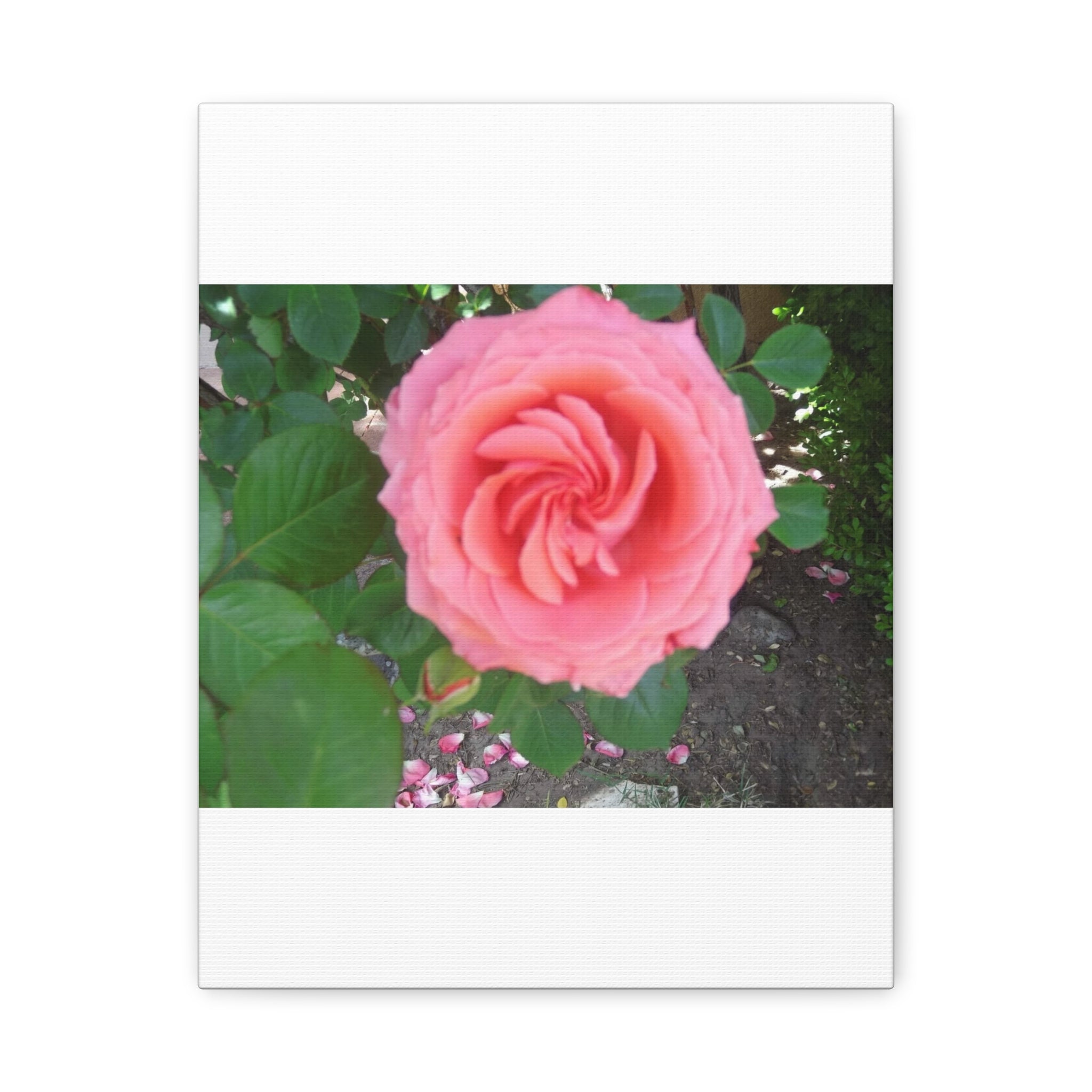 Pink Rose Canvas Wall Art, Floral Decor for Home, Perfect Gift for Nature Lovers, Elegant Wall Hanging, Mother's Day Decoration