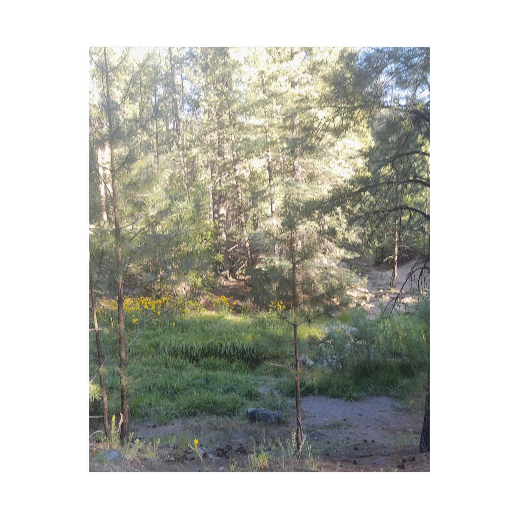 Nature-Inspired Matte Vertical Posters, Wall Art Prints, Home Decor, Aesthetic Decor, Nature Photography, Botanical Wall Art