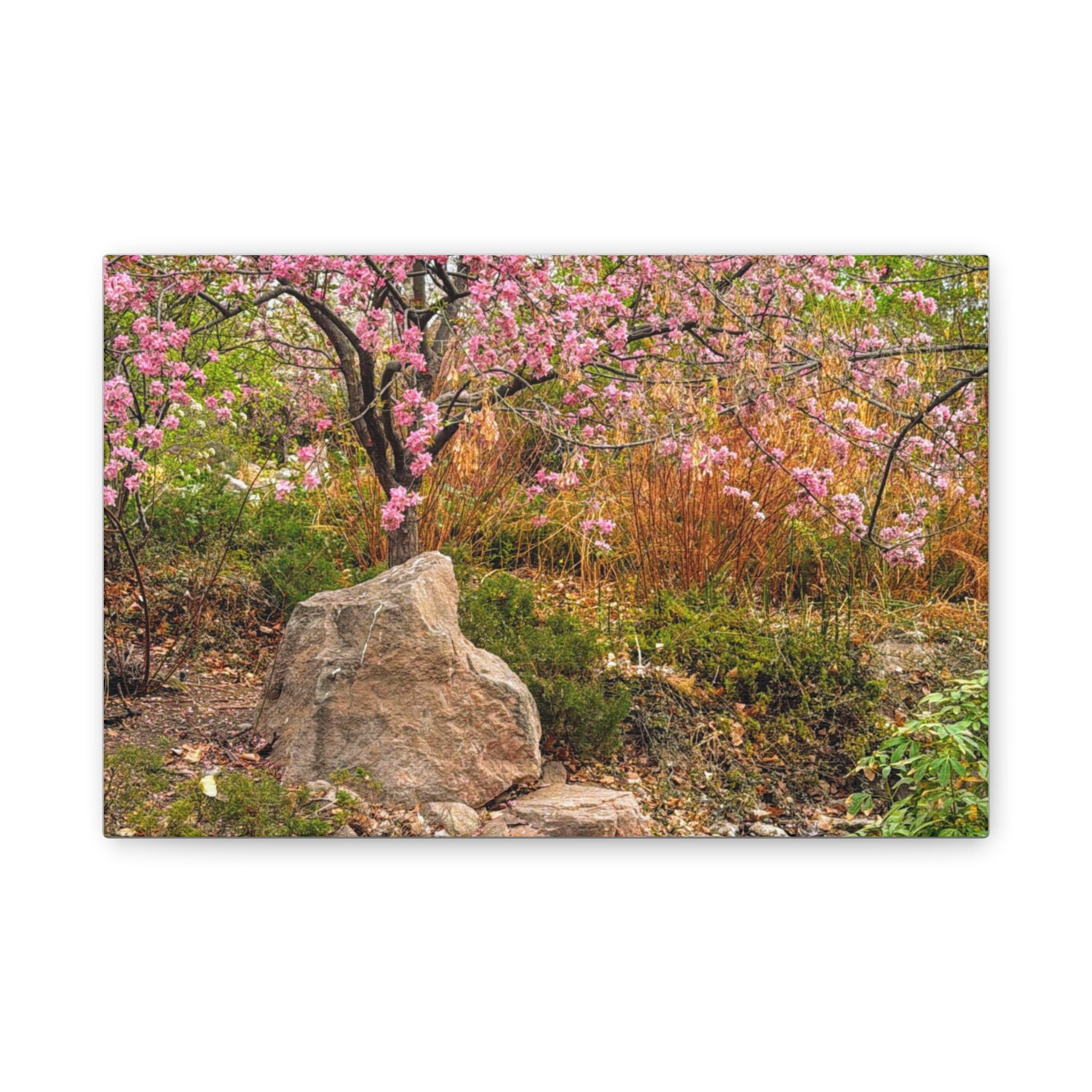 Canvas Wall Art, Pink Blossom Landscape Decor, Nature Photograph, Floral Print, Spring Home Decor, Gift for Nature Lovers