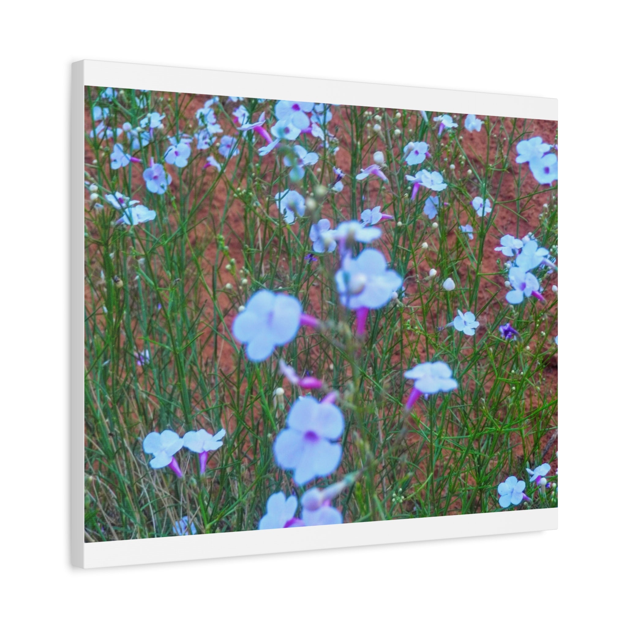 Floral Canvas Wall Art, Home Decor, Wall Hanging, Gift Idea, Nature Art, Flower Print