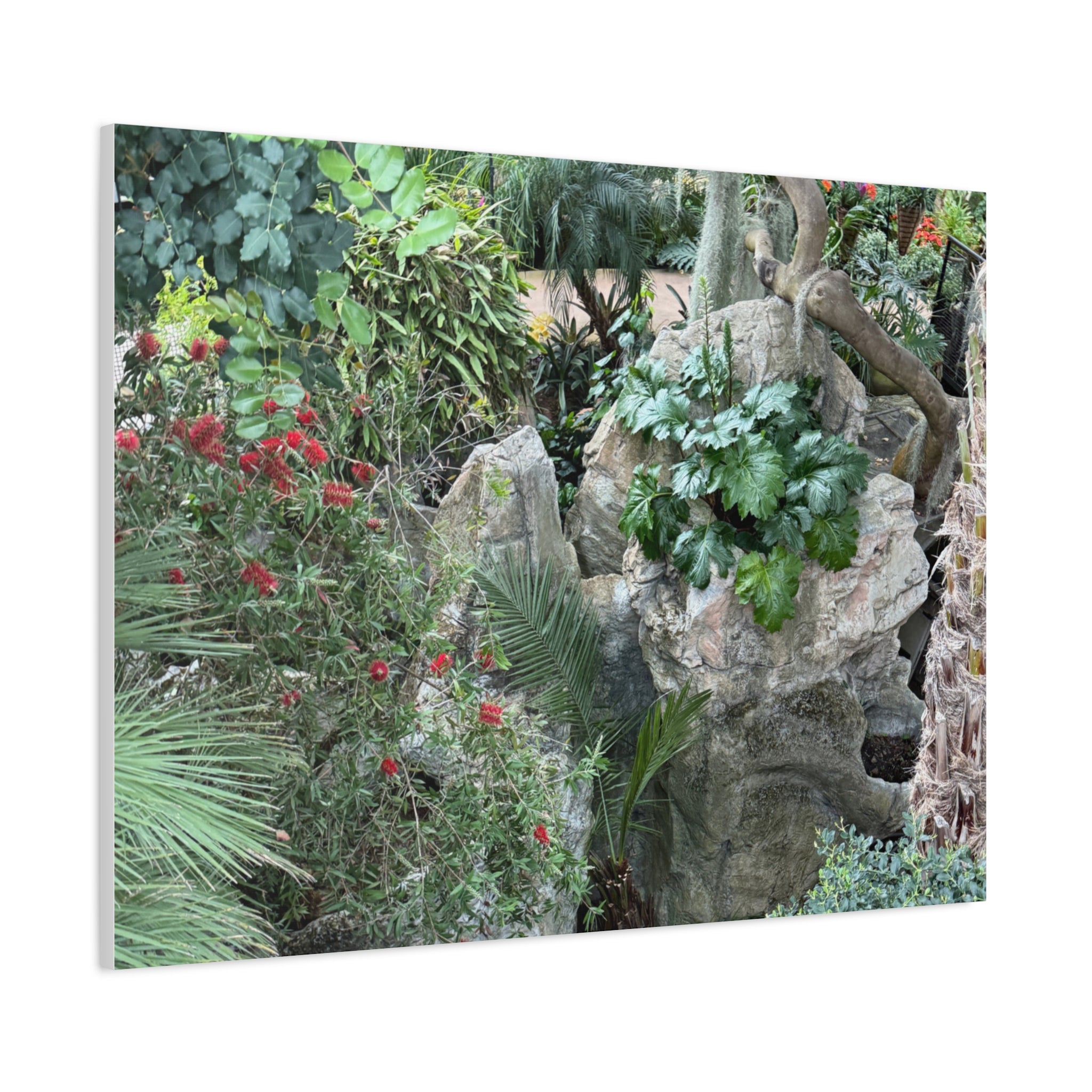 Garden Landscape Canvas Wall Art, Nature Decor, Home Decoration, Gift for Nature Lovers, Eco-Friendly Art, Botanical Wall Decor
