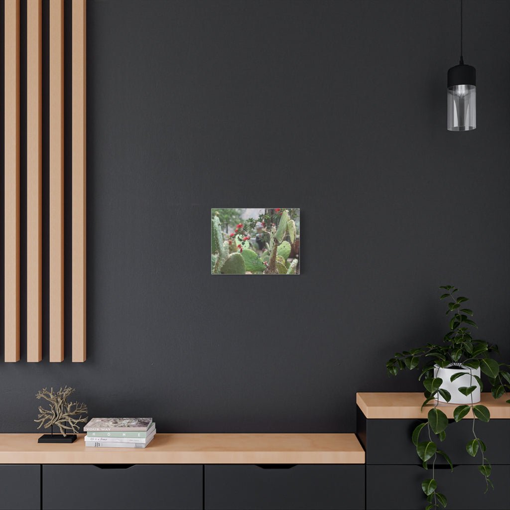 Cactus Artwork Print, Botanical Wall Decor, Succulent Canvas, Nature Lover Gift, Home Decoration