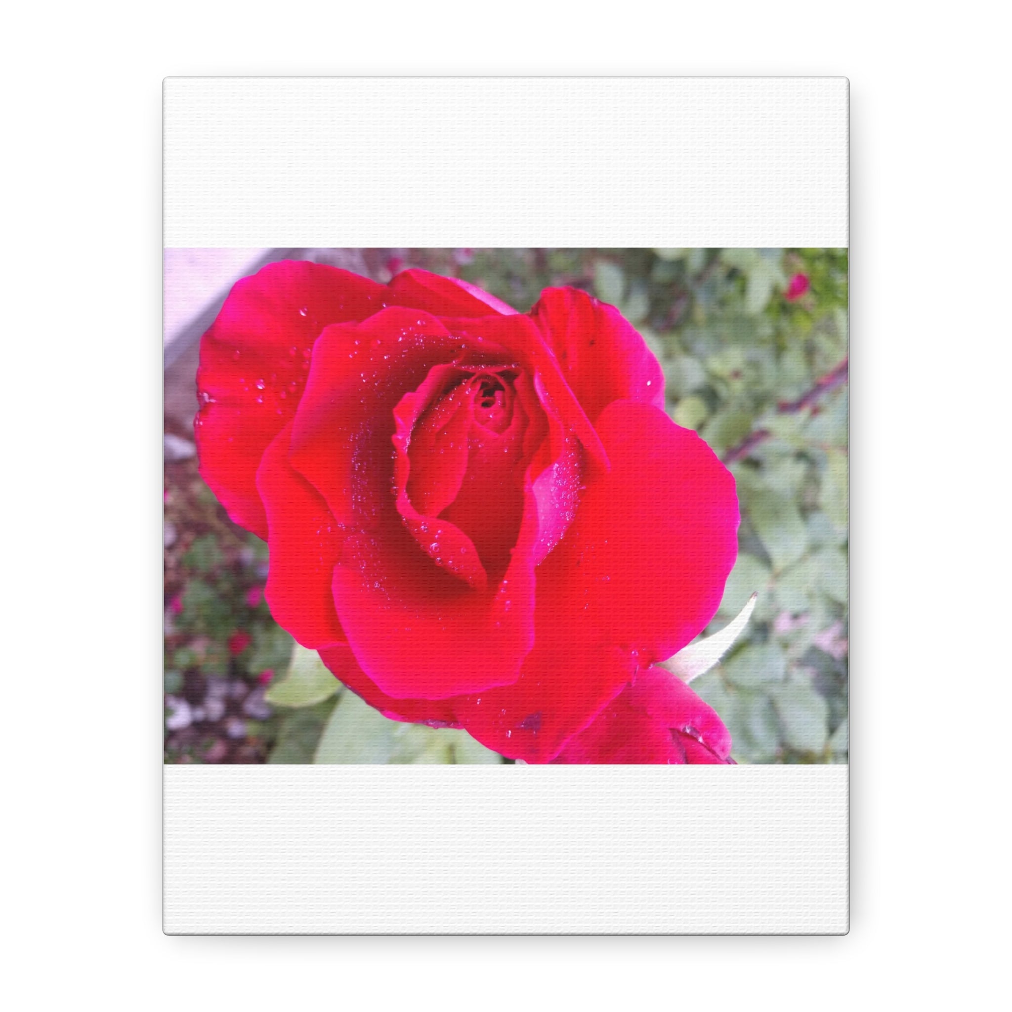 Vibrant Floral Canvas Art, Elegant Wall Decor, Perfect for Home, Gifts, Mother's Day, and Weddings