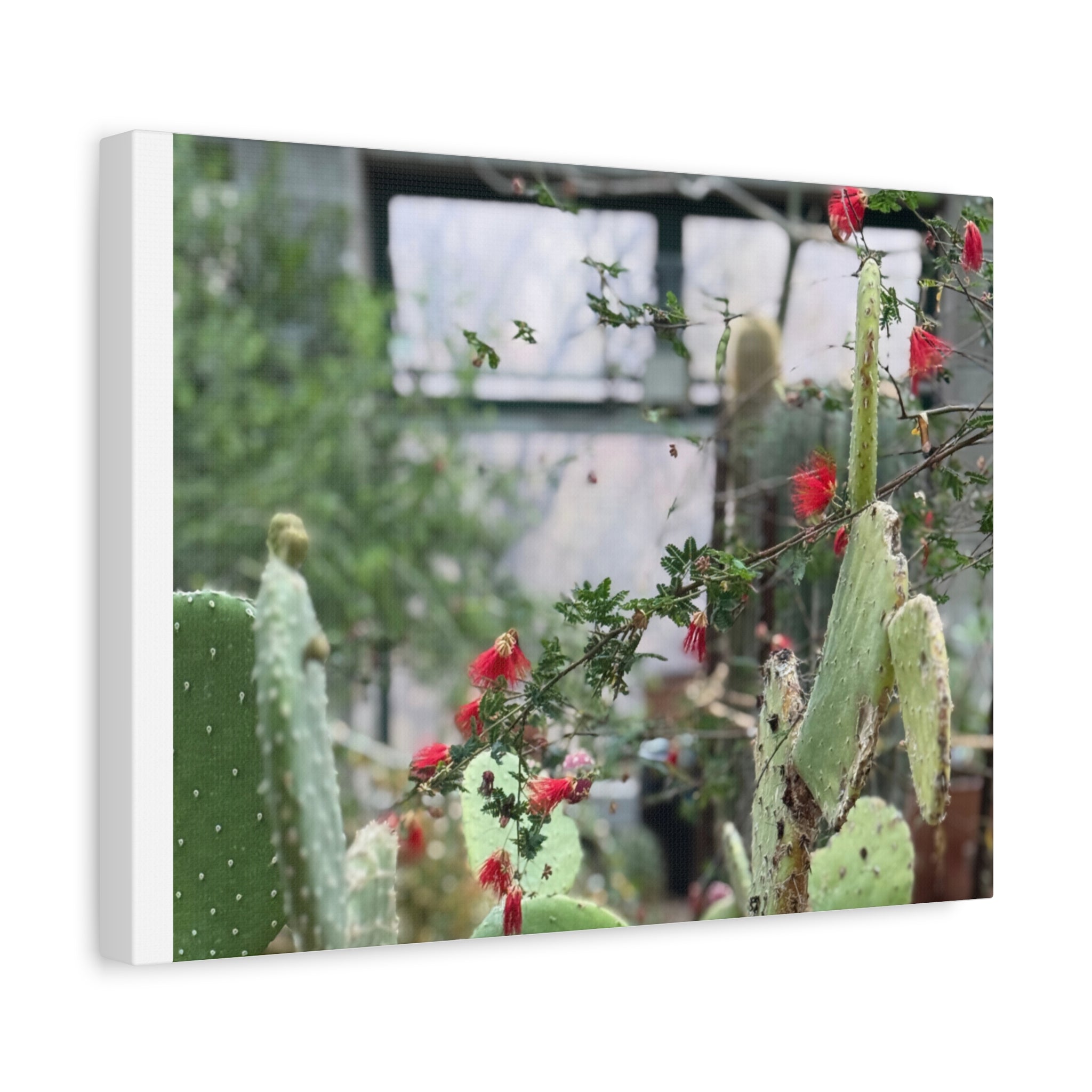 Cactus Wall Art Print, Nature Home Decor, Bohemian Style Artwork, Botanical Gift, Succulent Canvas