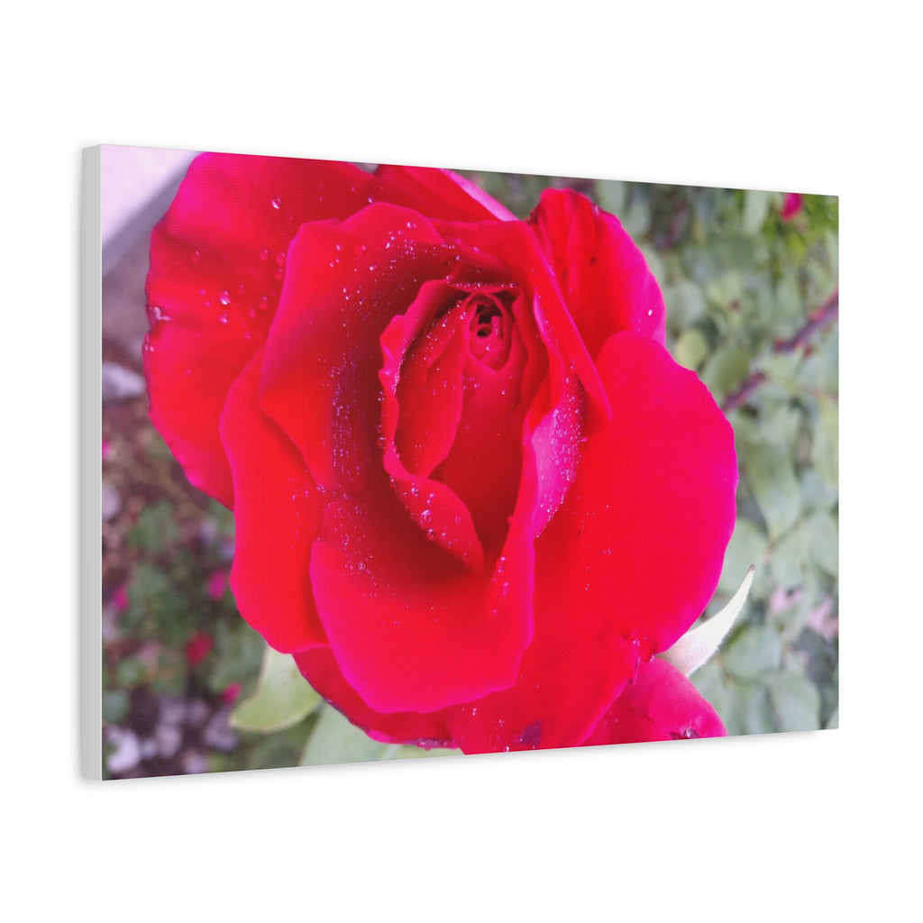 Vibrant Floral Canvas Art, Elegant Wall Decor, Perfect for Home, Gifts, Mother's Day, and Weddings