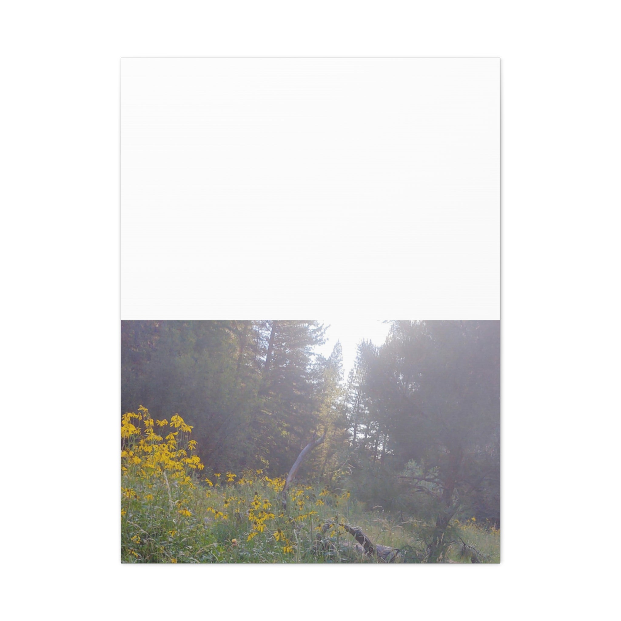 Matte Canvas, Stretched, 1.25"