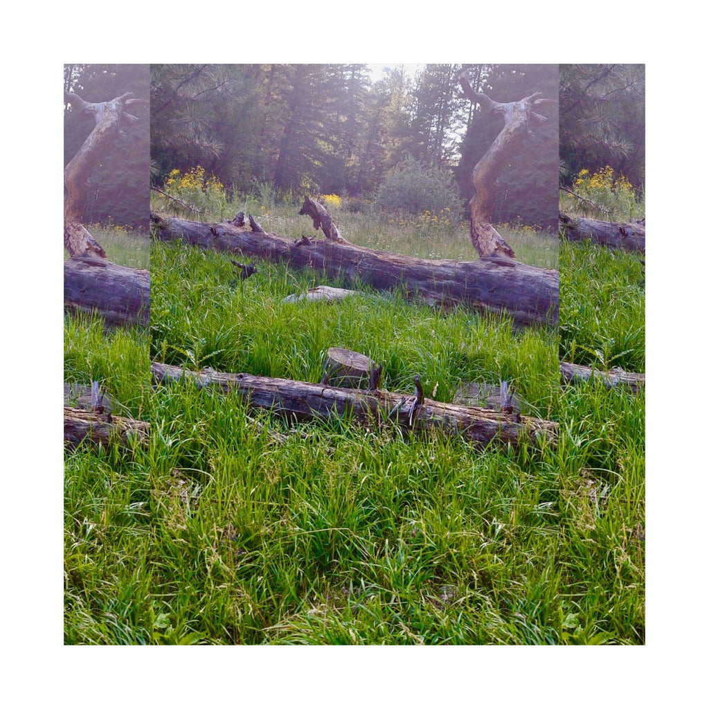 Nature-Inspired Matte Vertical Posters, Wall Art, Home Decor, Gift for Nature Lovers, Room Decoration, Eco-Friendly Art