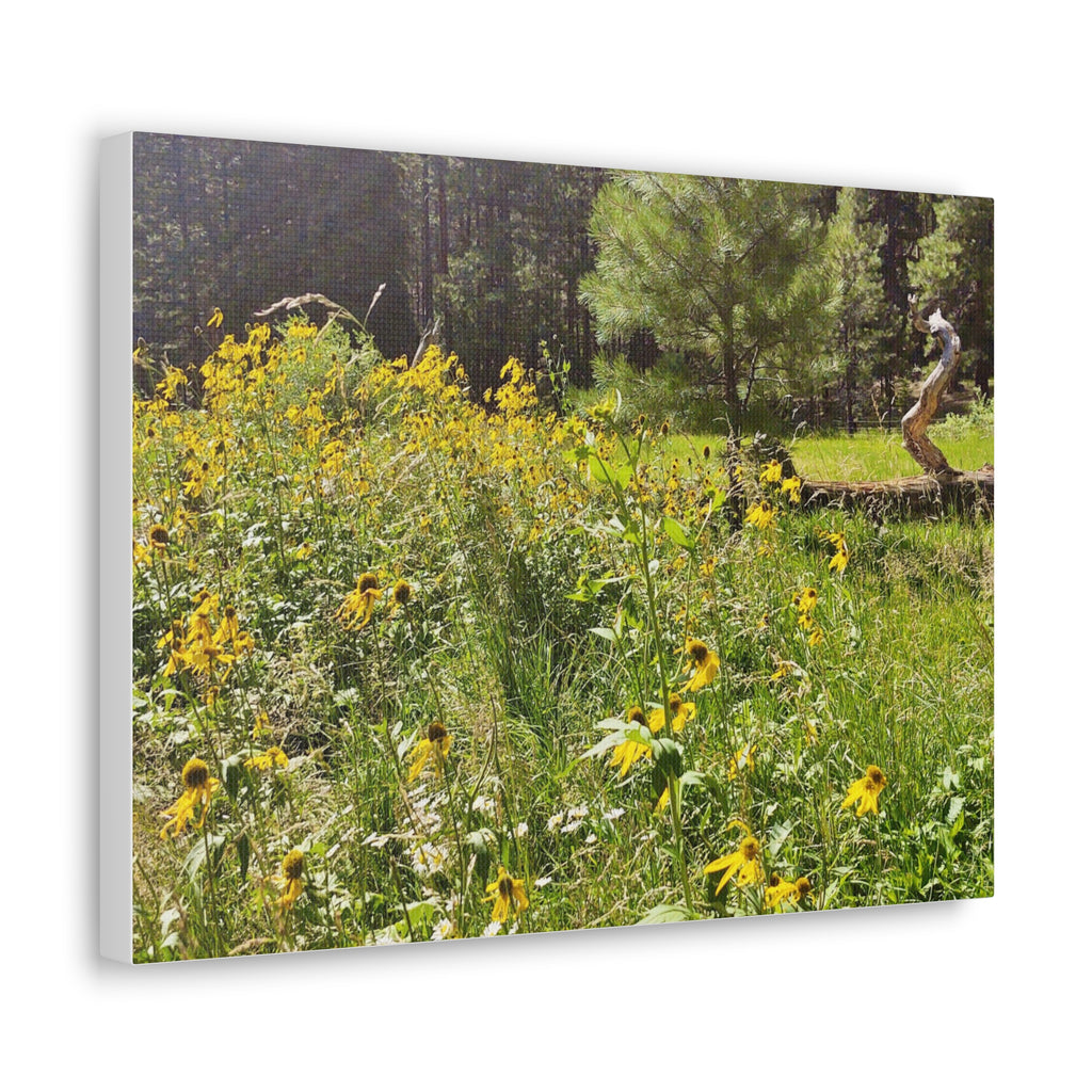 Canvas Wall Art, Nature Photography Decor, Floral Home Decor, Greenery Art Print, Gift for Nature Lovers