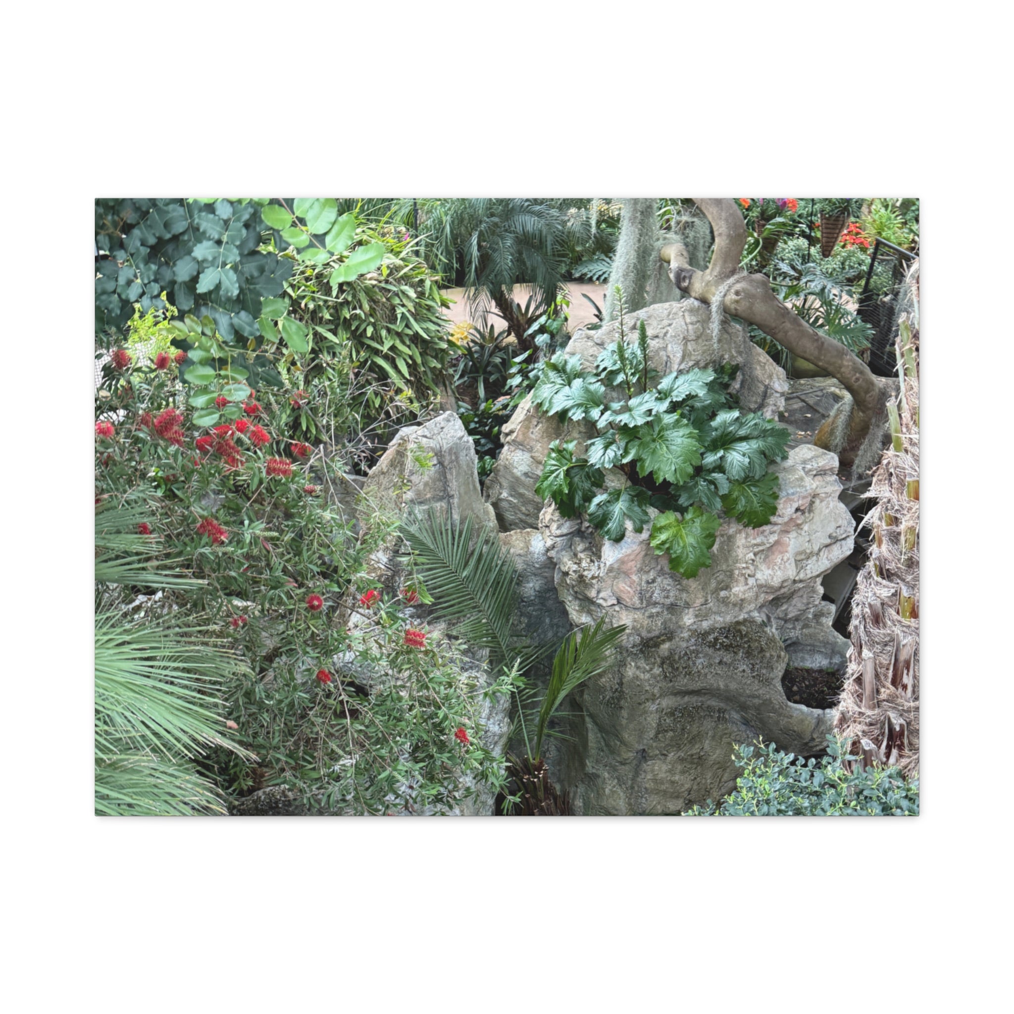 Garden Landscape Canvas Wall Art, Nature Decor, Home Decoration, Gift for Nature Lovers, Eco-Friendly Art, Botanical Wall Decor