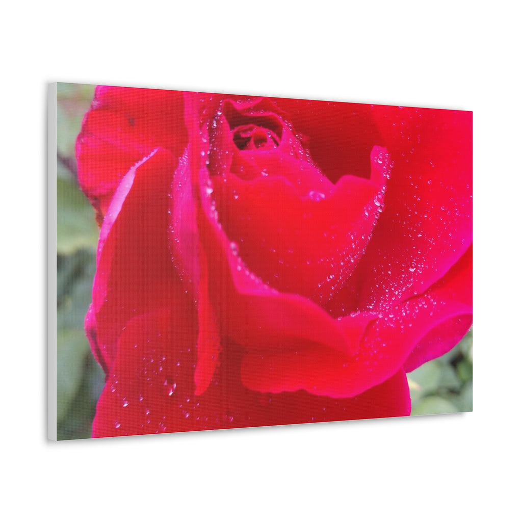 Stunning Floral Canvas Print, Home Decor, Wall Art, Gift for Flower Lovers, Red Rose Art, Mother's Day Gift