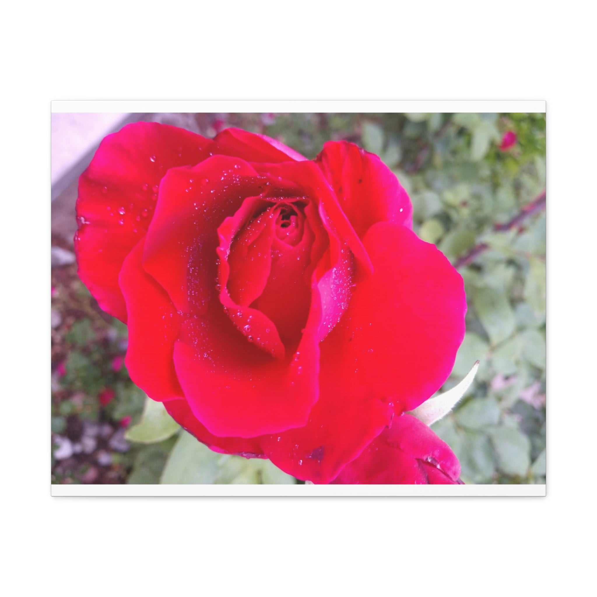 Vibrant Floral Canvas Art, Elegant Wall Decor, Perfect for Home, Gifts, Mother's Day, and Weddings