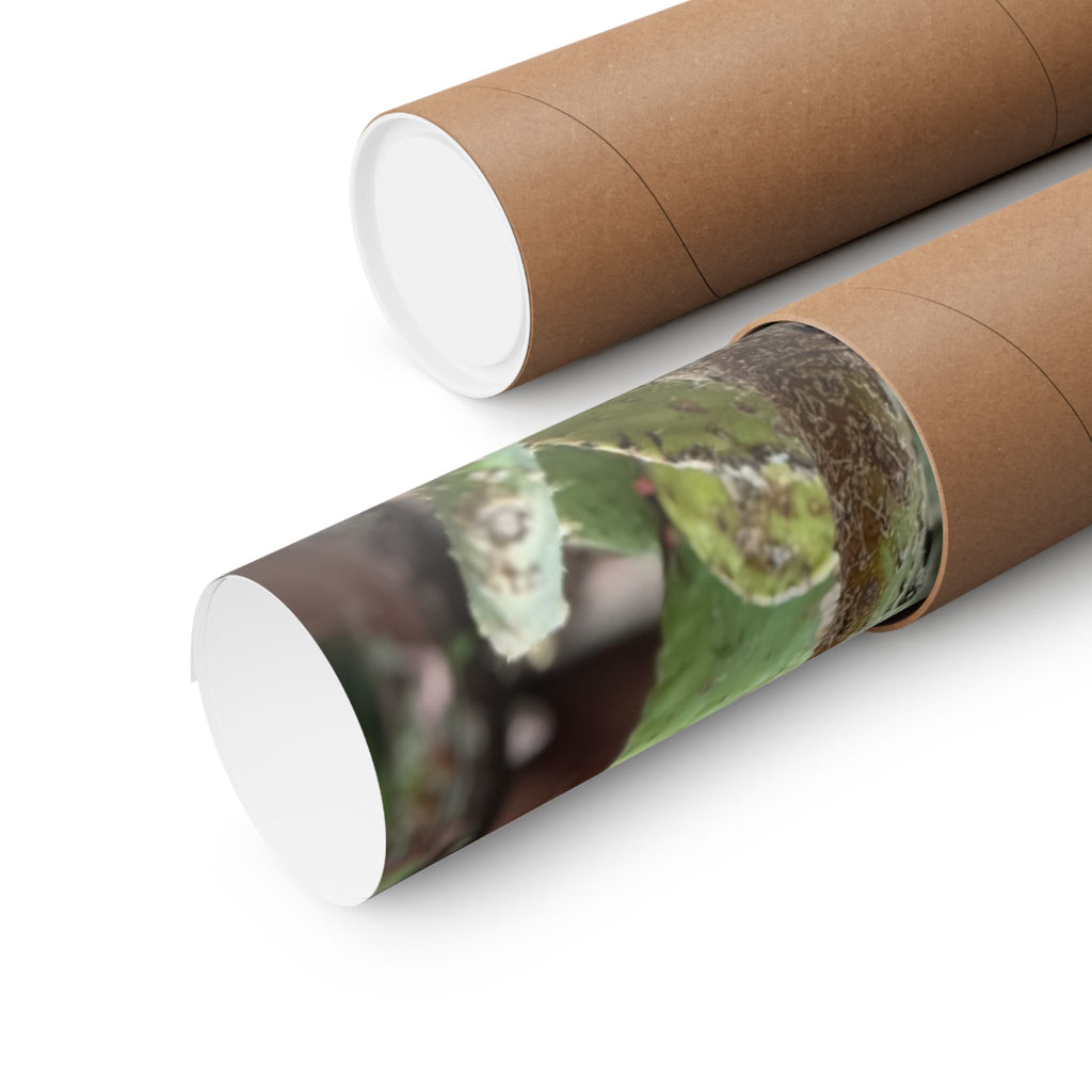 Cactus Vertical Wall Art, Boho Home Decor, Nature Print, Gift for Plant Lovers, Gallery Wall Decoration