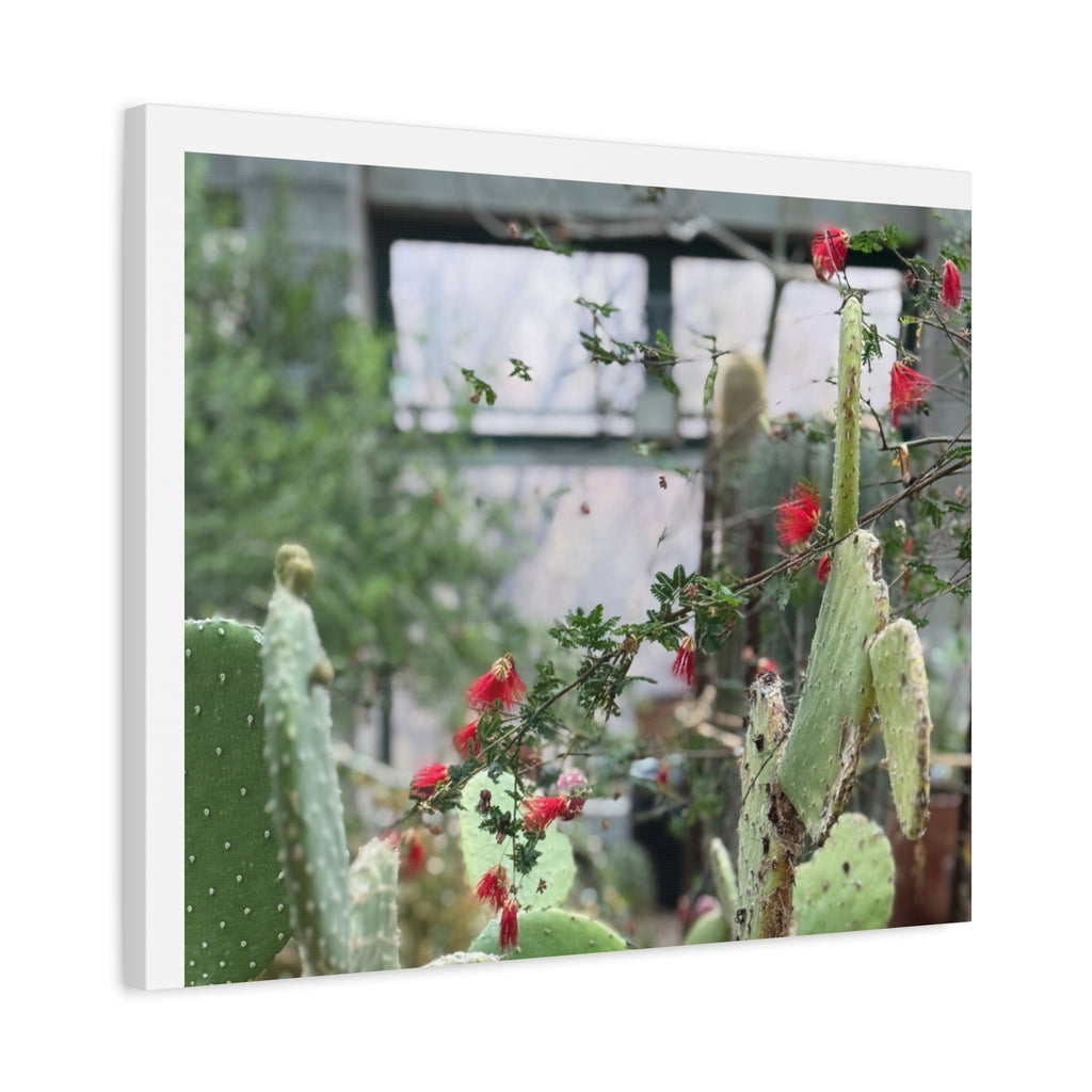Cactus Wall Art Print, Nature Home Decor, Bohemian Style Artwork, Botanical Gift, Succulent Canvas