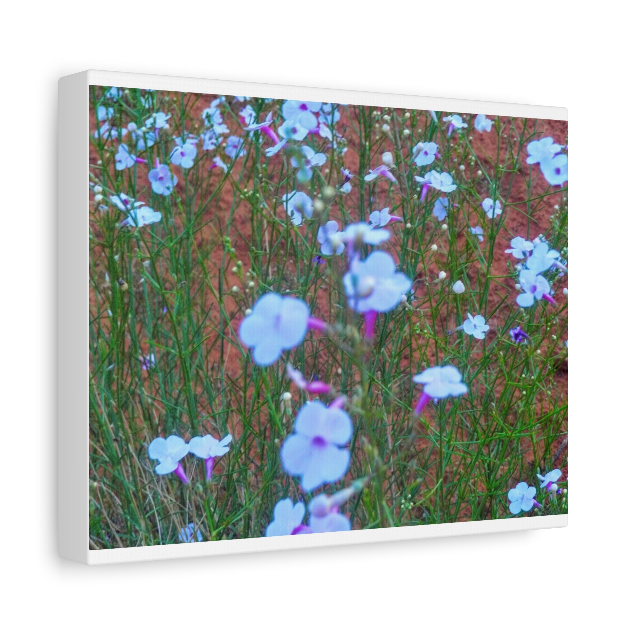 Floral Canvas Wall Art, Home Decor, Wall Hanging, Gift Idea, Nature Art, Flower Print