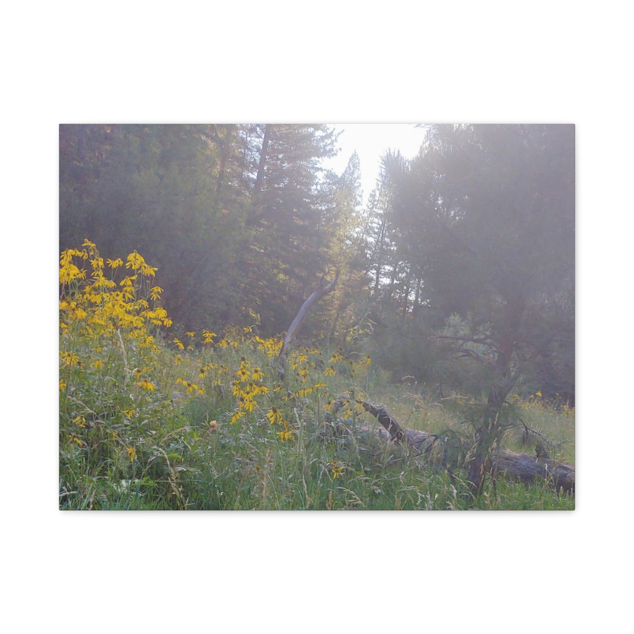 Matte Canvas, Stretched, 1.25"