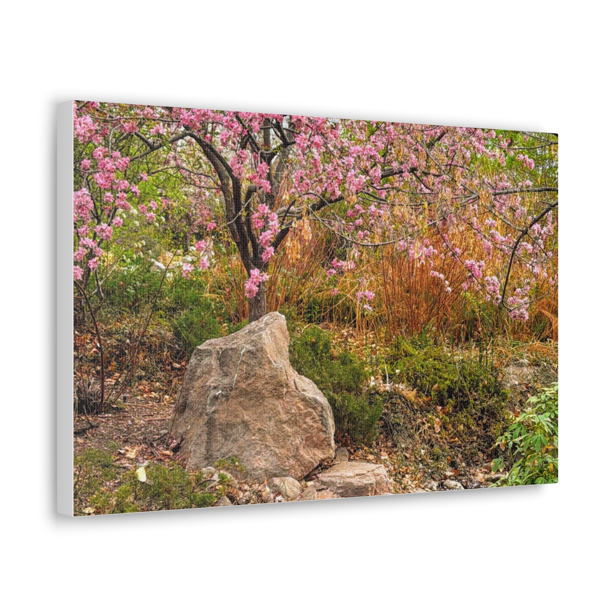 Canvas Wall Art, Pink Blossom Landscape Decor, Nature Photograph, Floral Print, Spring Home Decor, Gift for Nature Lovers