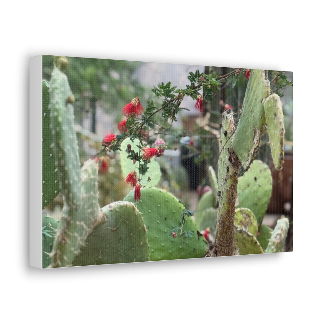 Cactus Artwork Print, Botanical Wall Decor, Succulent Canvas, Nature Lover Gift, Home Decoration