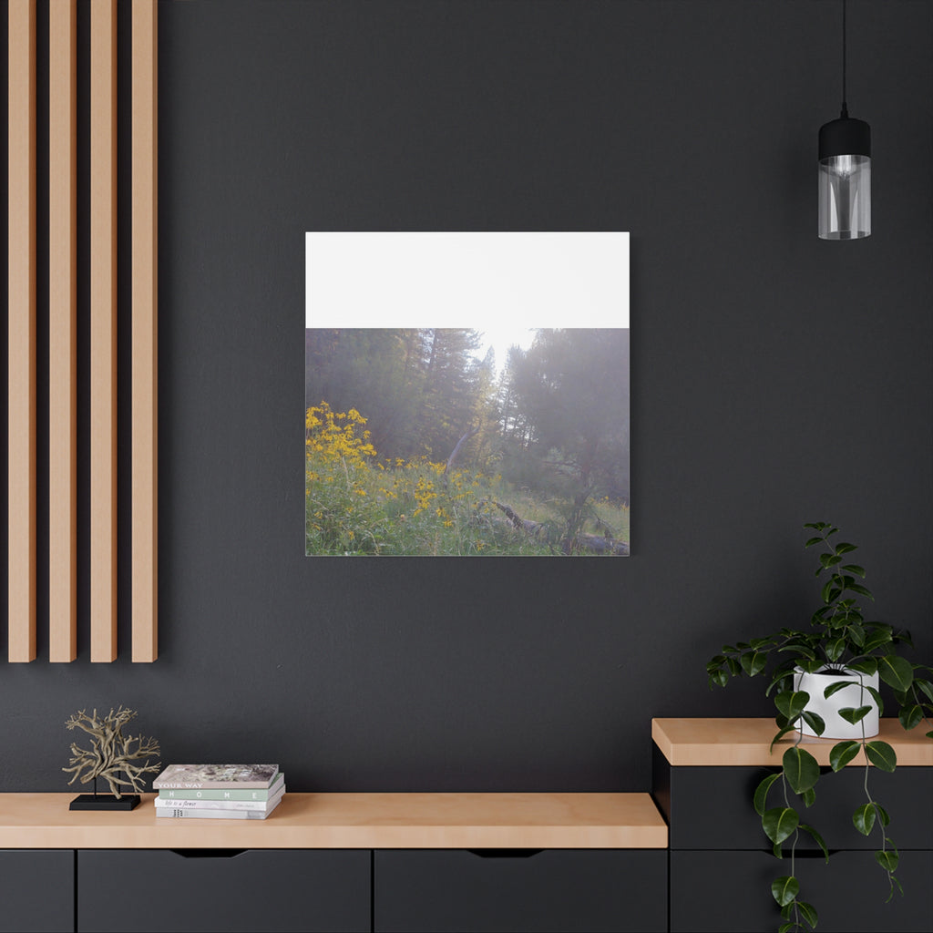 Matte Canvas, Stretched, 1.25"