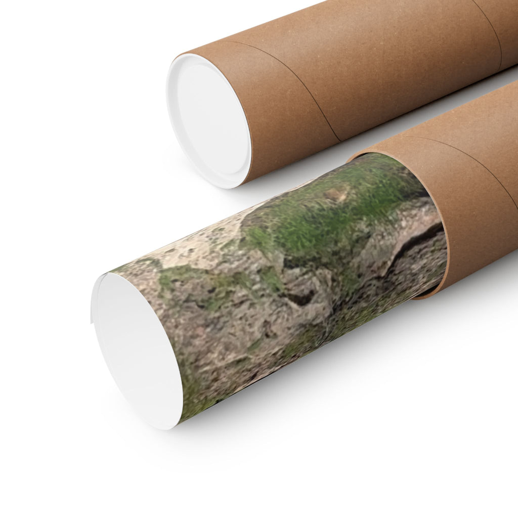 Nature-Inspired Matte Vertical Posters, Scenic Wall Art, Home Decor, Outdoor Aesthetics, Gift for Nature Lovers