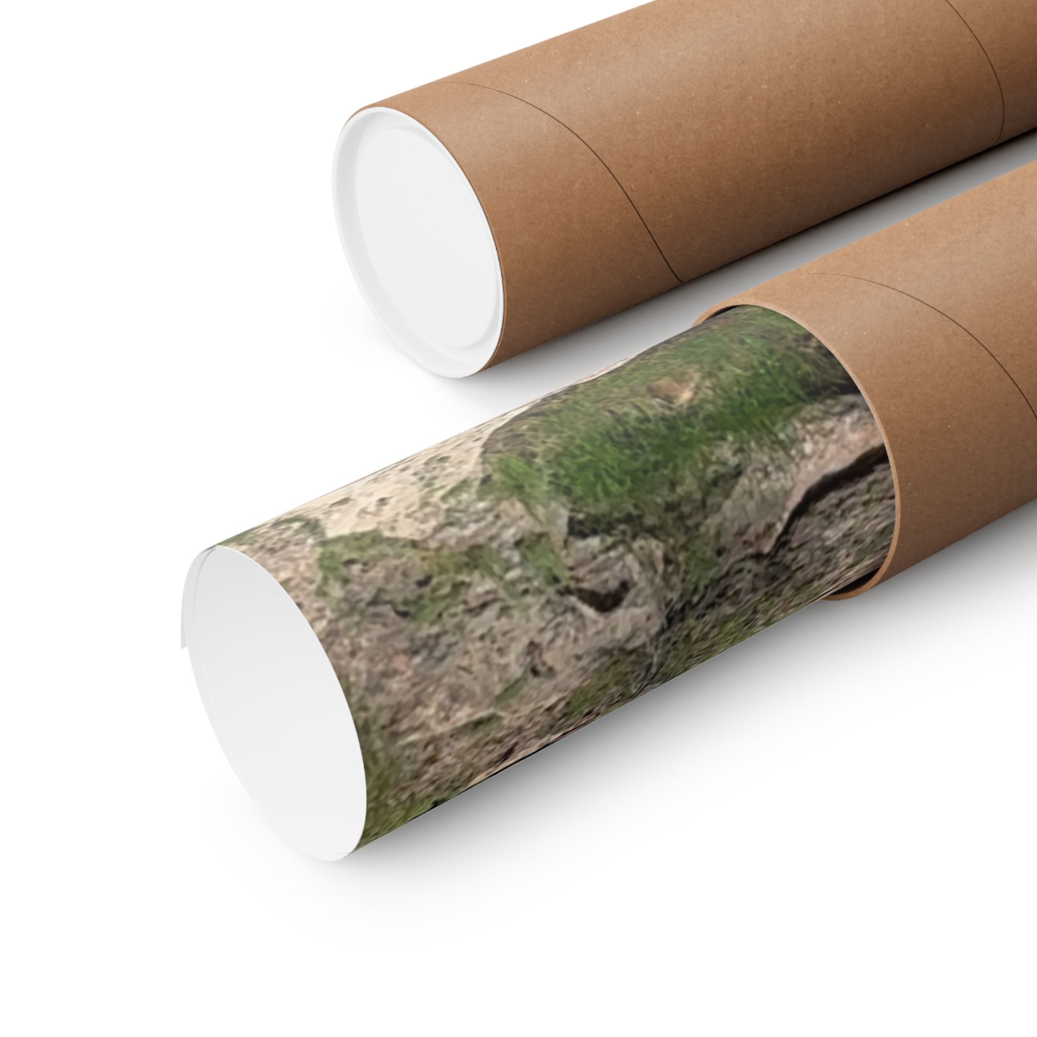 Nature-Inspired Matte Vertical Posters, Scenic Wall Art, Home Decor, Outdoor Aesthetics, Gift for Nature Lovers