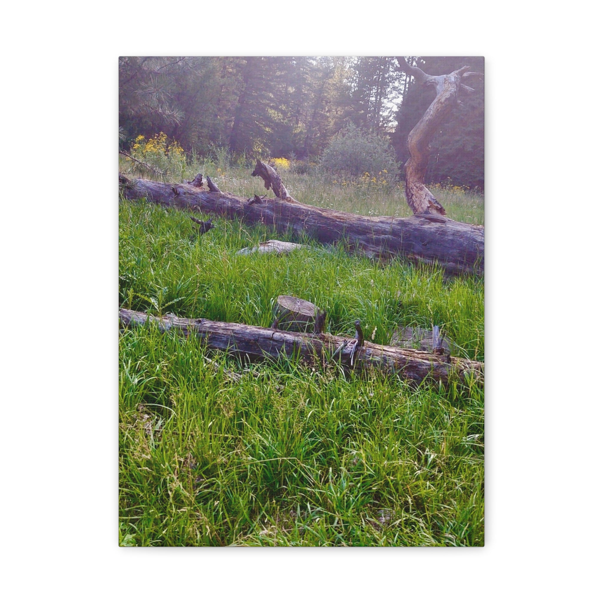 Classic Canvas Wall Art - Nature Decor, Outdoor Wall Hanging, Home Aesthetic, Gift for Nature Lovers, Rustic Cabin Decor