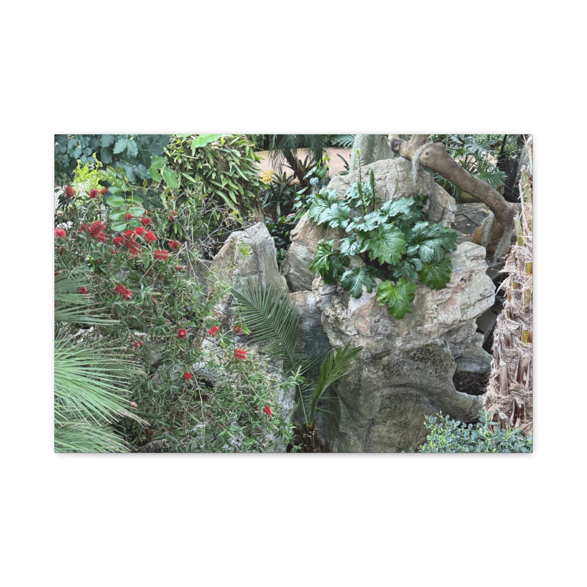 Garden Landscape Canvas Wall Art, Nature Decor, Home Decoration, Gift for Nature Lovers, Eco-Friendly Art, Botanical Wall Decor