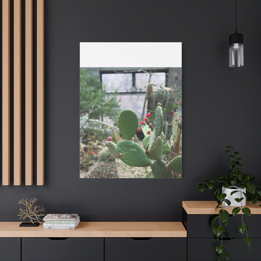 Cactus Matte Canvas Wall Art, Nature Decor, Southwestern Room Design, Green Plant Prints, Home and Office Wall Decor