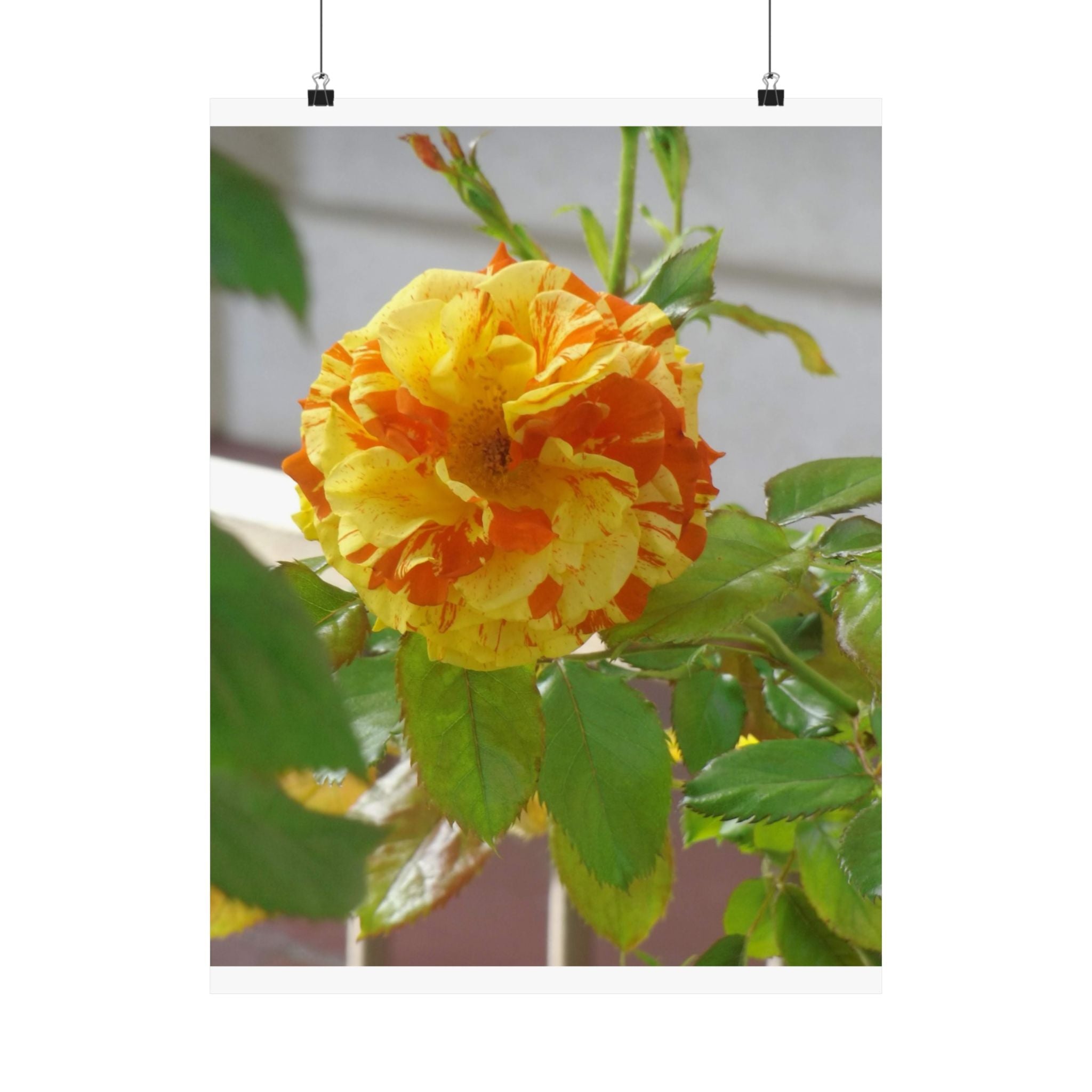 Vibrant Floral Wall Art, Matte Vertical Posters, Home Decor, Flower Illustration, Gift for Nature Lovers, Modern Art Prints, Colorful [...]