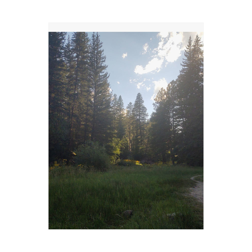 Nature-Inspired Matte Vertical Posters, Forest Art Decor, Home Wall Art, Outdoor Lover Gift, Tranquil Nature Prints