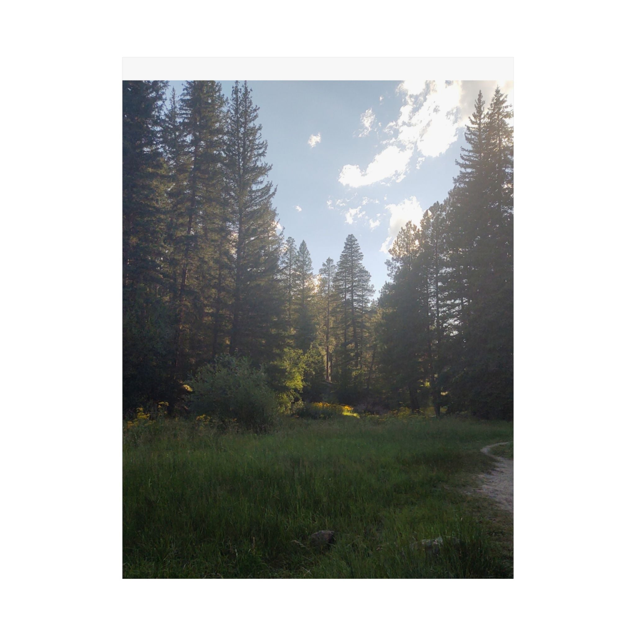 Nature-Inspired Matte Vertical Posters, Forest Art Decor, Home Wall Art, Outdoor Lover Gift, Tranquil Nature Prints