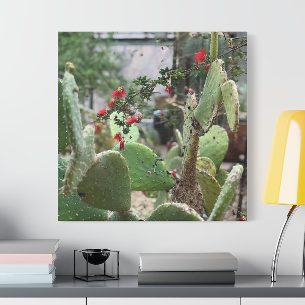 Cactus Artwork Print, Botanical Wall Decor, Succulent Canvas, Nature Lover Gift, Home Decoration