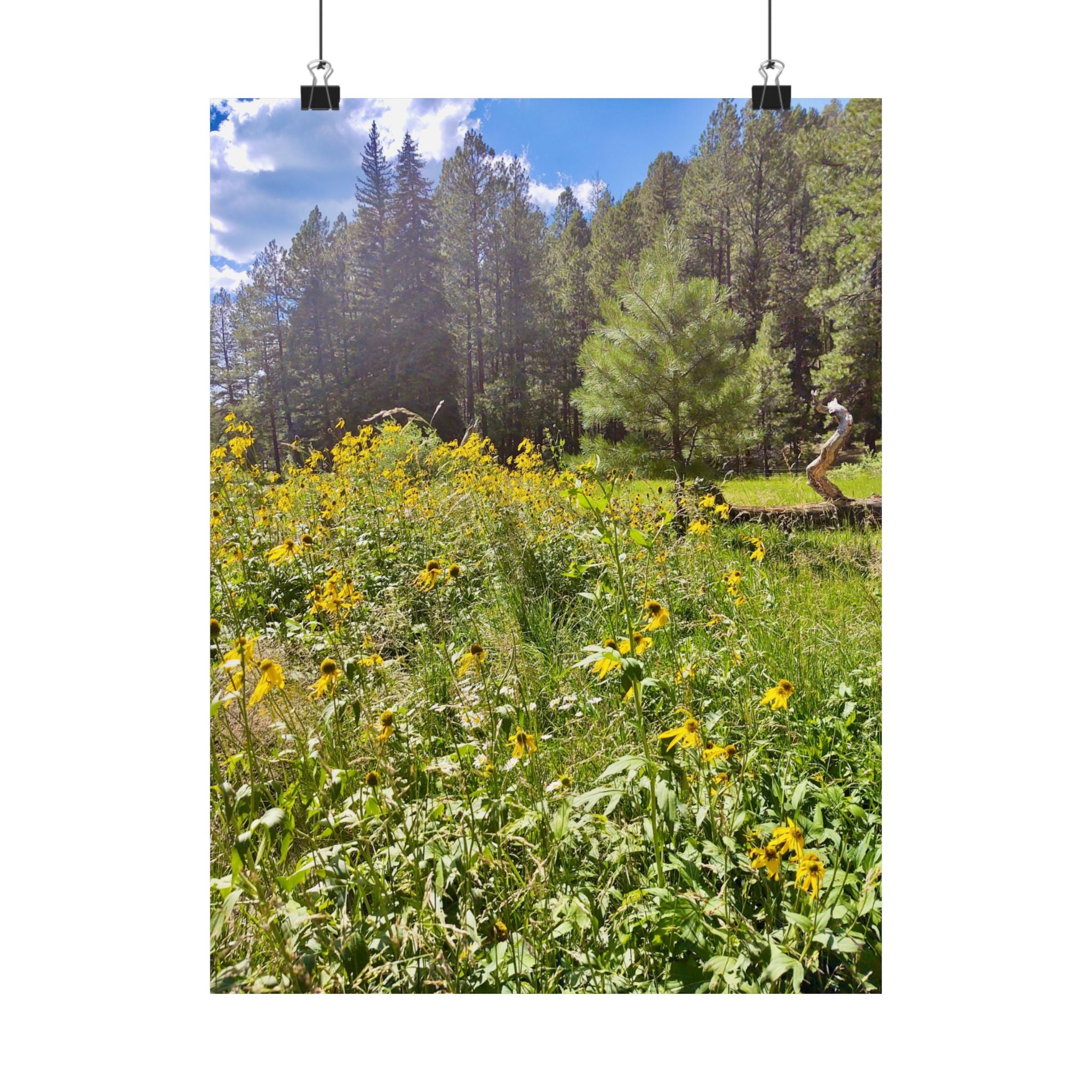 Nature-Inspired Matte Vertical Posters, Floral Wall Art, Home Decor, Gift for Nature Lovers, Botanical Print, Office Decoration