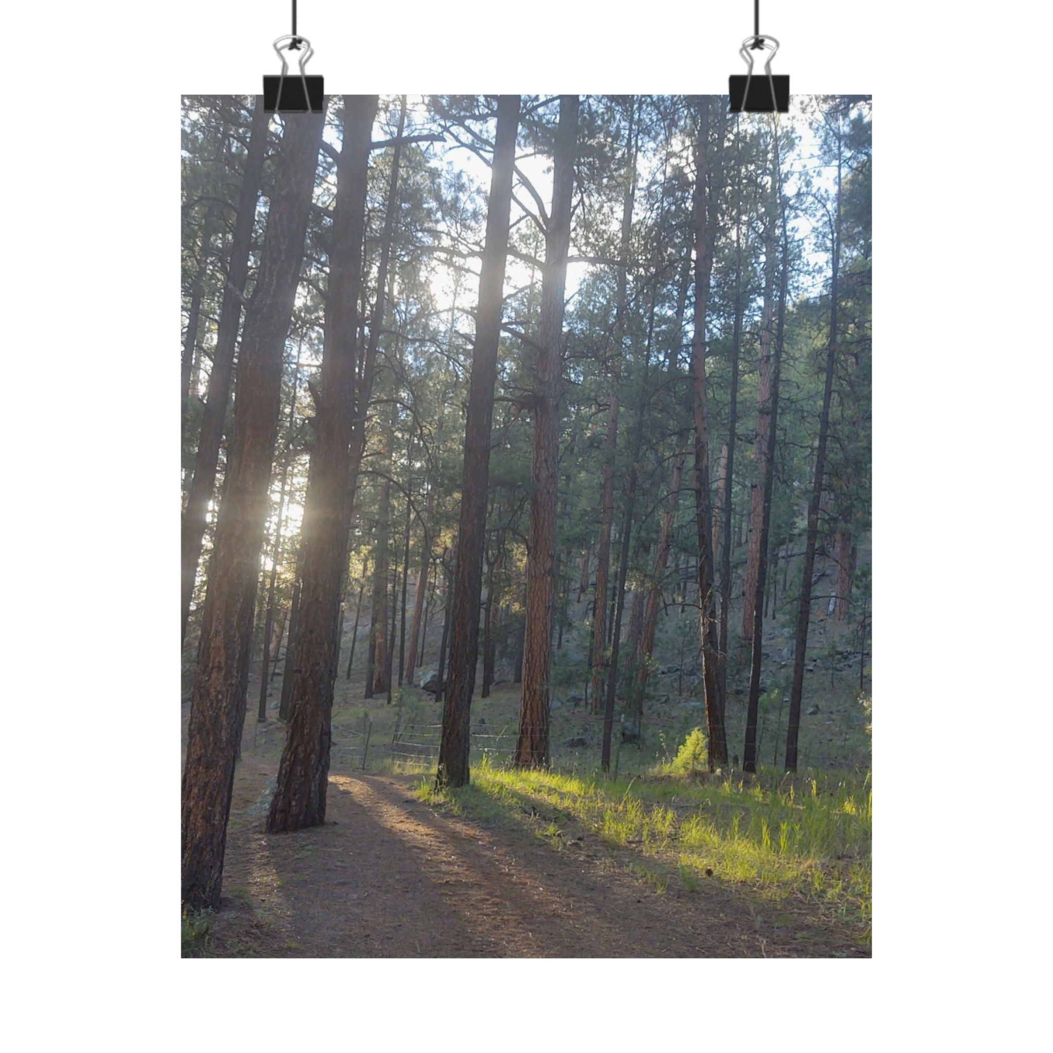 Serene Nature Matte Vertical Posters, Forest Wall Art, Home Decor, Gift Idea, Nature Lover's Decor, Inspirational Art Print