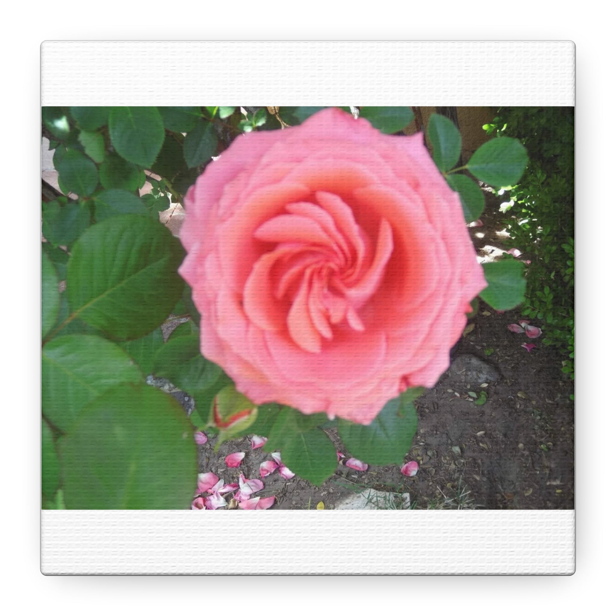 Pink Rose Canvas Wall Art, Floral Decor for Home, Perfect Gift for Nature Lovers, Elegant Wall Hanging, Mother's Day Decoration