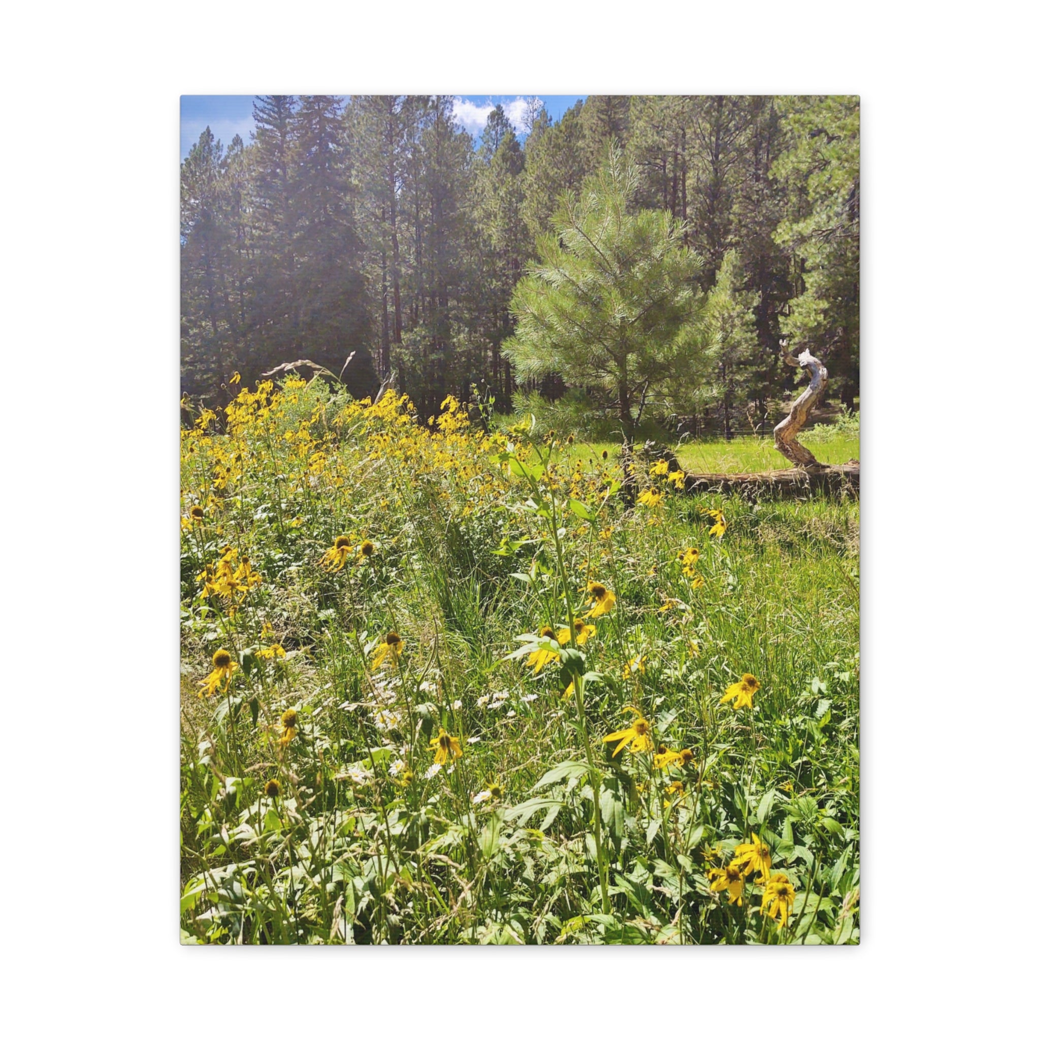 Canvas Wall Art, Nature Photography Decor, Floral Home Decor, Greenery Art Print, Gift for Nature Lovers