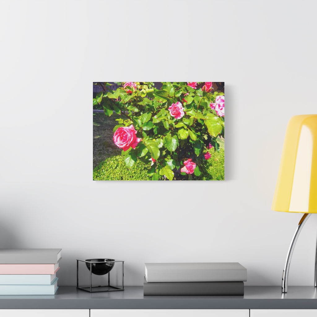 Floral Canvas Wall Art, Pink Rose Decor, Home Gallery Piece, Flower Photography, Garden Wall Decor, Floral Print