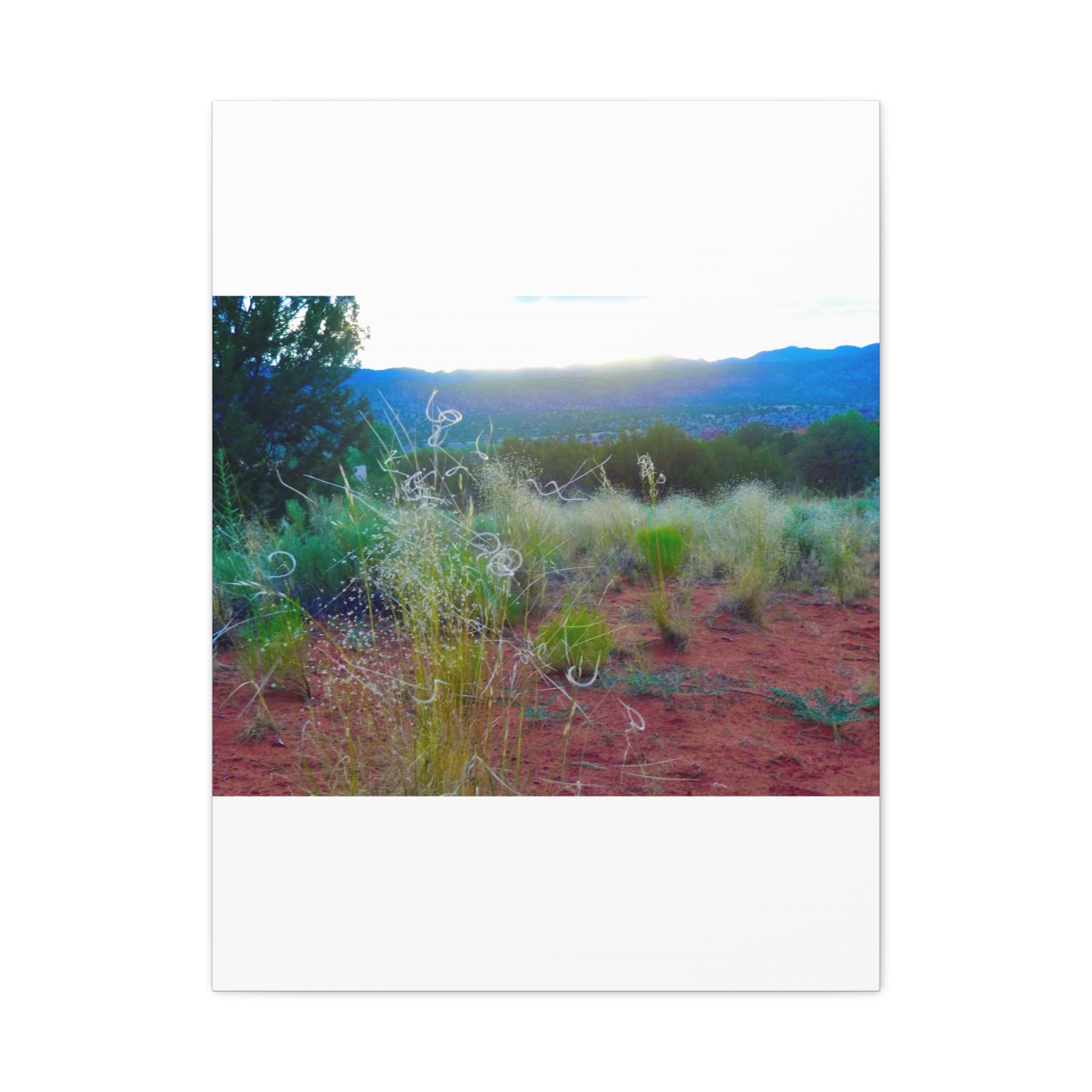 Stretched Canvas Art Print, Nature Wall Decor, Boho Home Decor, Rustic Landscape Art, Gift for Nature Lovers