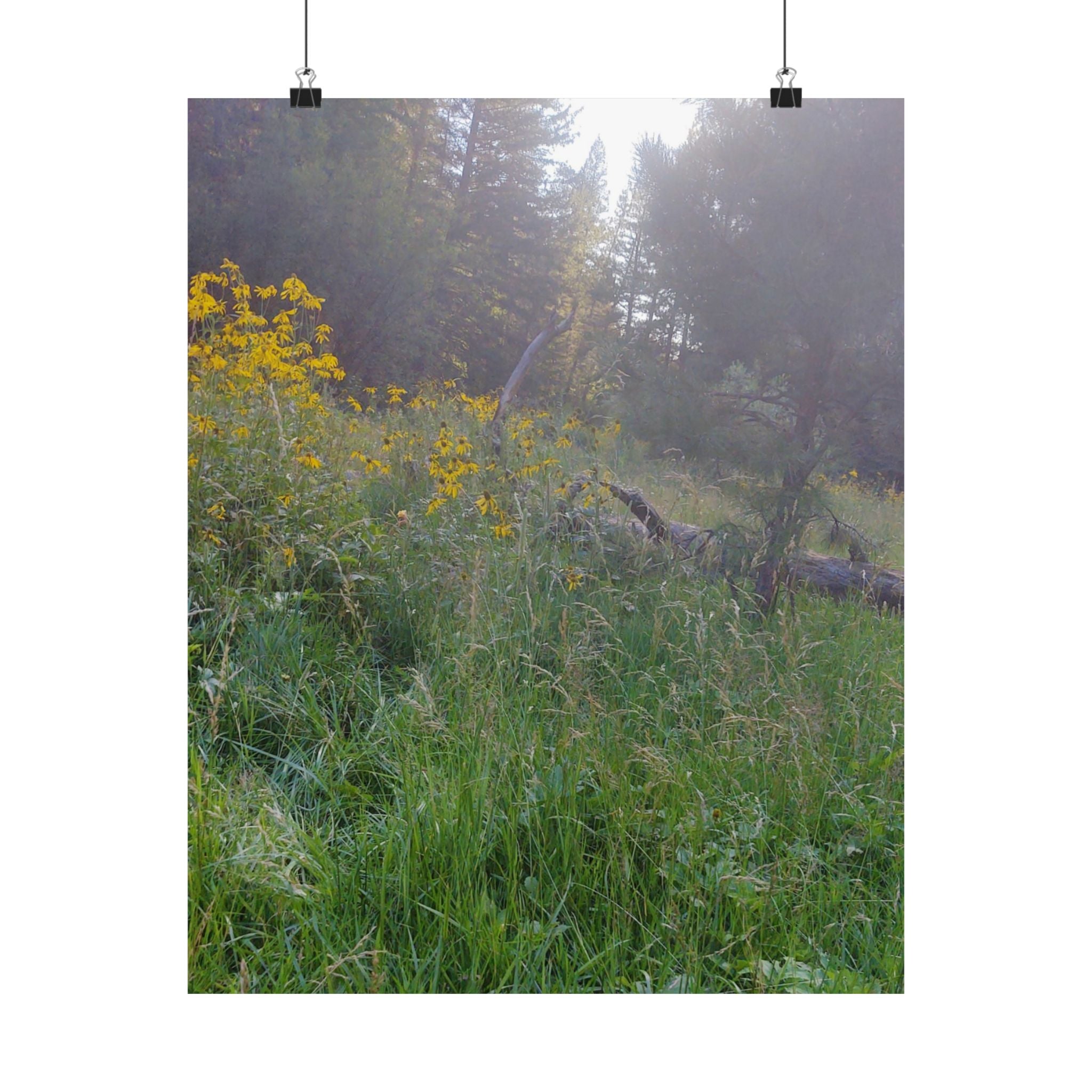 Nature-Inspired Matte Vertical Posters, Floral Art Print, Wall Decor, Home Aesthetic, Cottage Core Decor, Boho Wall Art