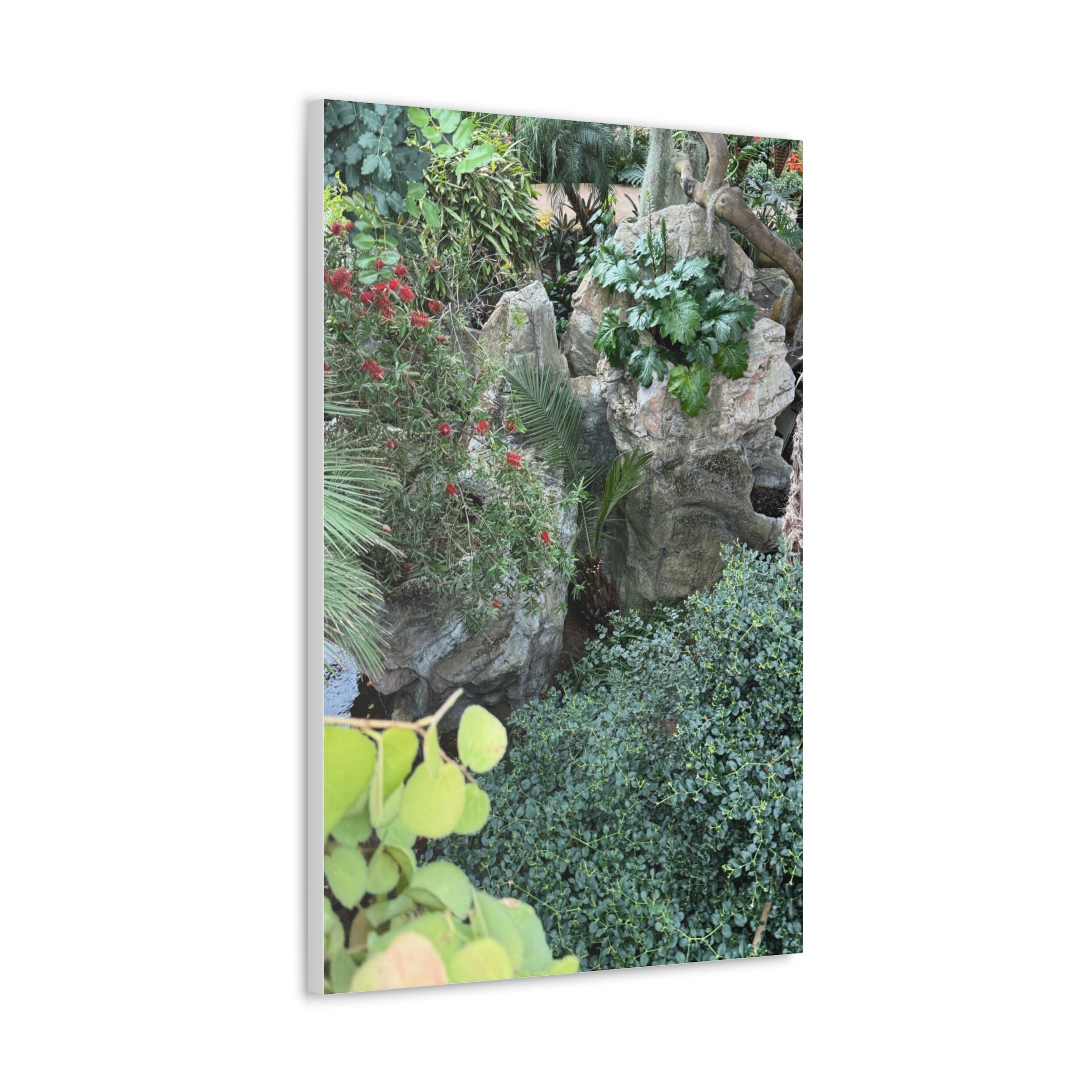 Canvas Wall Art, Tropical Garden Print, Home Decor, Botanical Artwork, Nature Lover Gift, Modern Interior Design