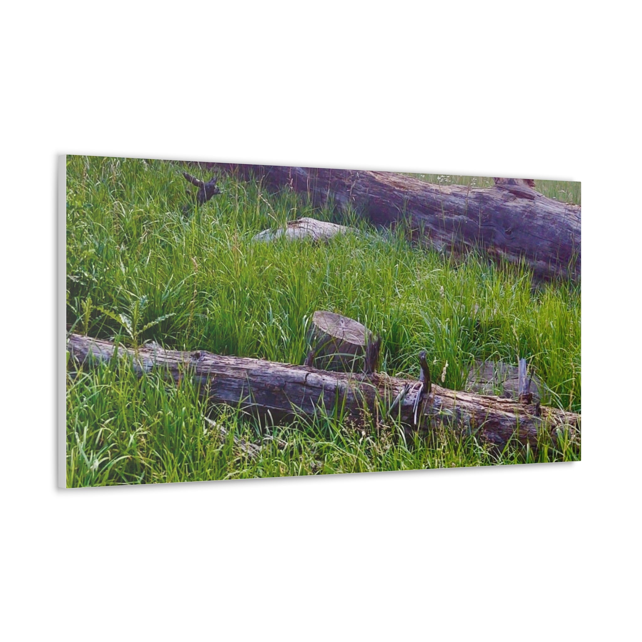 Classic Canvas Wall Art - Nature Decor, Outdoor Wall Hanging, Home Aesthetic, Gift for Nature Lovers, Rustic Cabin Decor