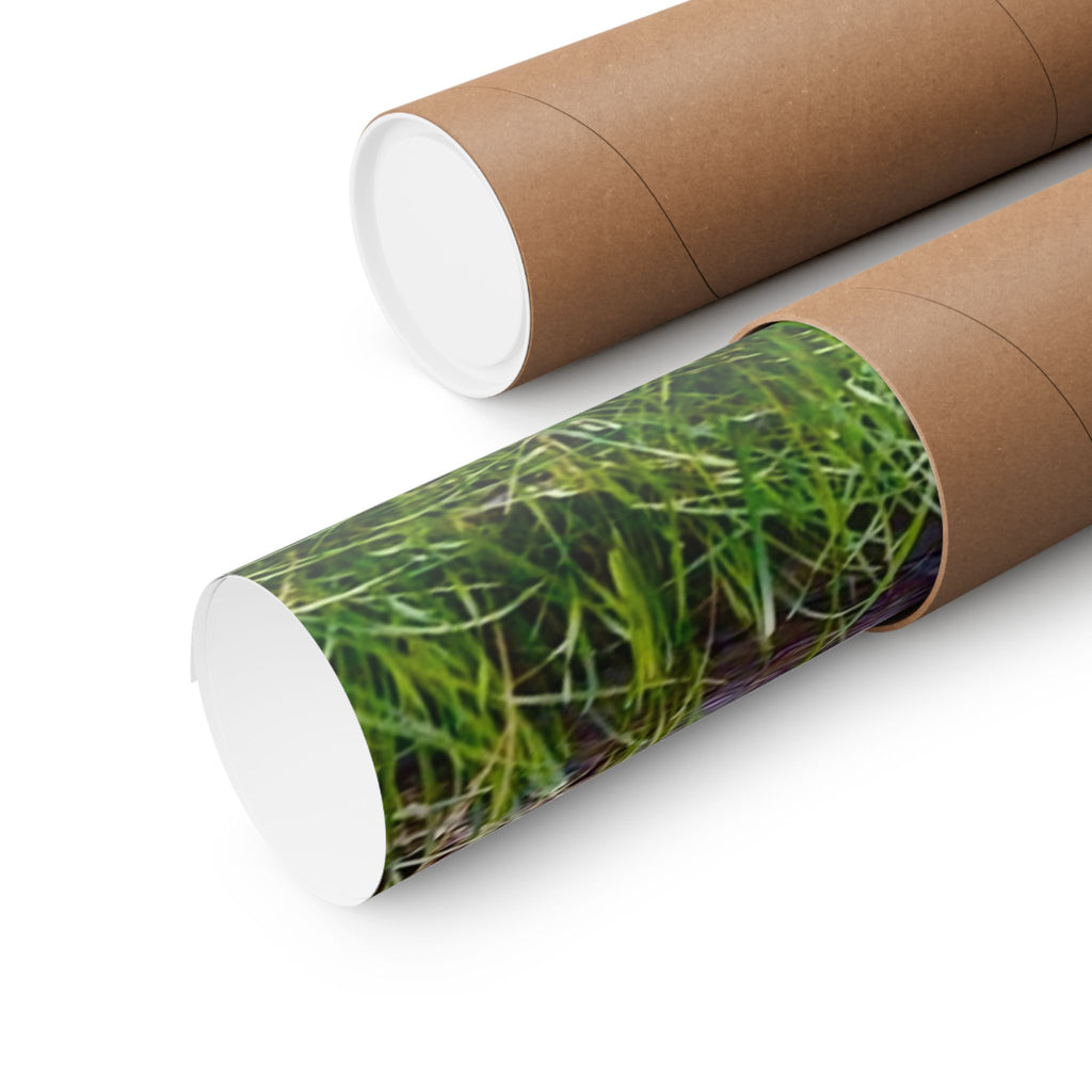 Nature-Inspired Matte Vertical Posters, Wall Art Decor, Forest Photo Prints, Home Aesthetic, Gift for Nature Lovers