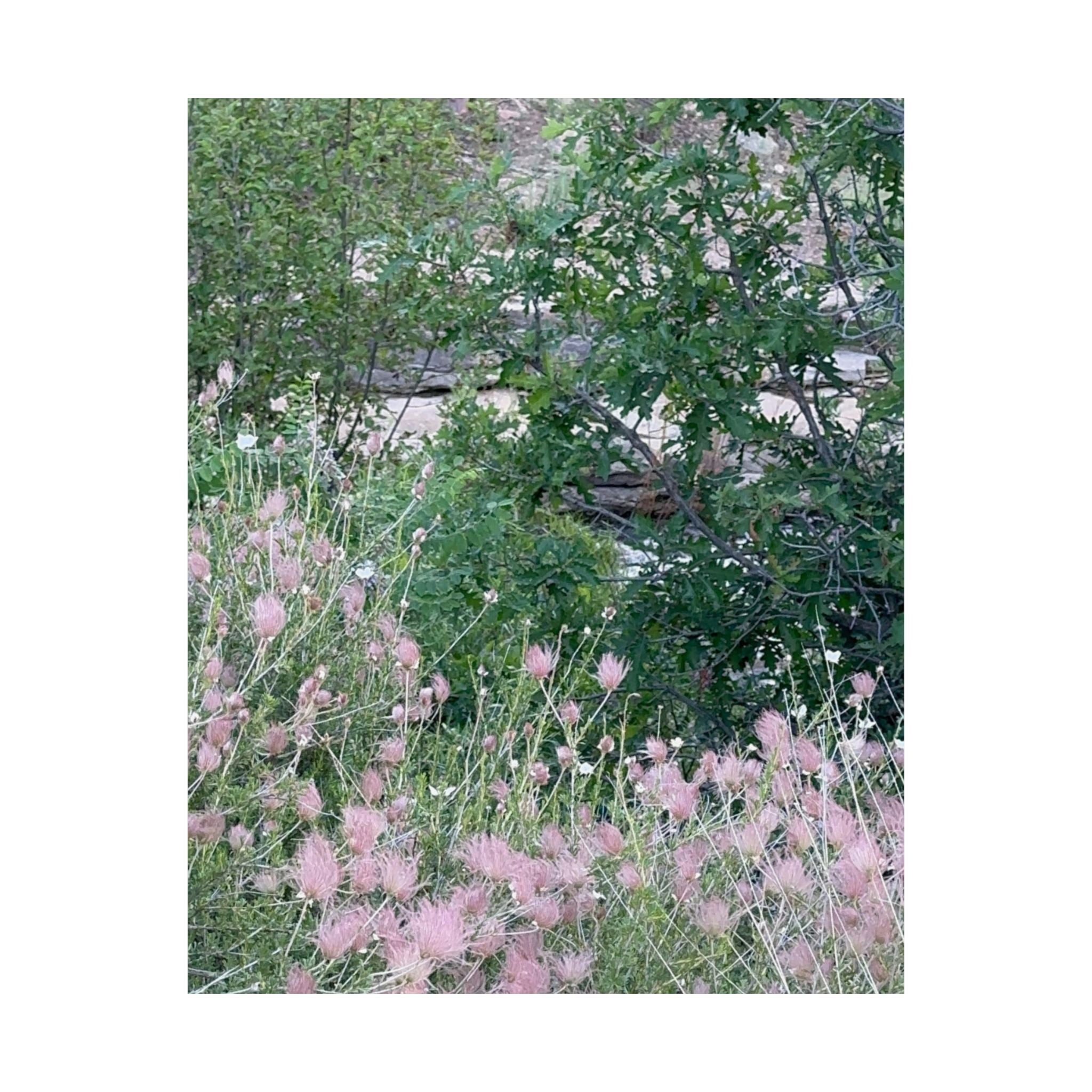 Botanical Wall Art Print, Floral Home Decor, Matte Vertical Posters, Nature Poster for Living Room, Gift for Plant Lovers