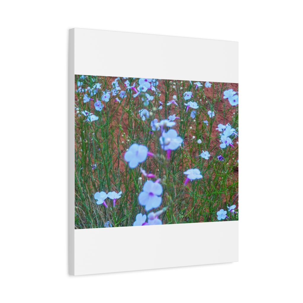 Floral Canvas Wall Art, Home Decor, Wall Hanging, Gift Idea, Nature Art, Flower Print