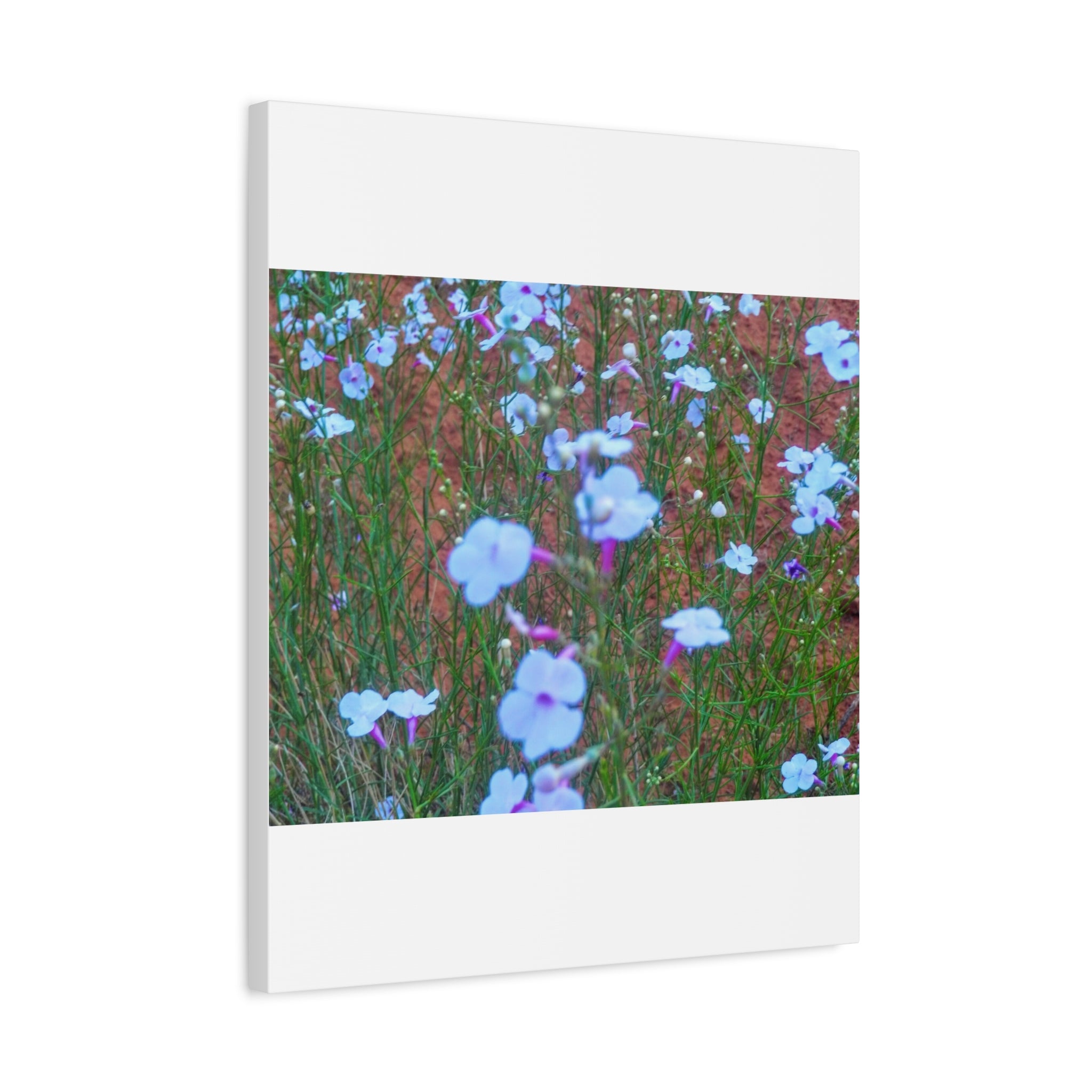 Floral Canvas Wall Art, Home Decor, Wall Hanging, Gift Idea, Nature Art, Flower Print