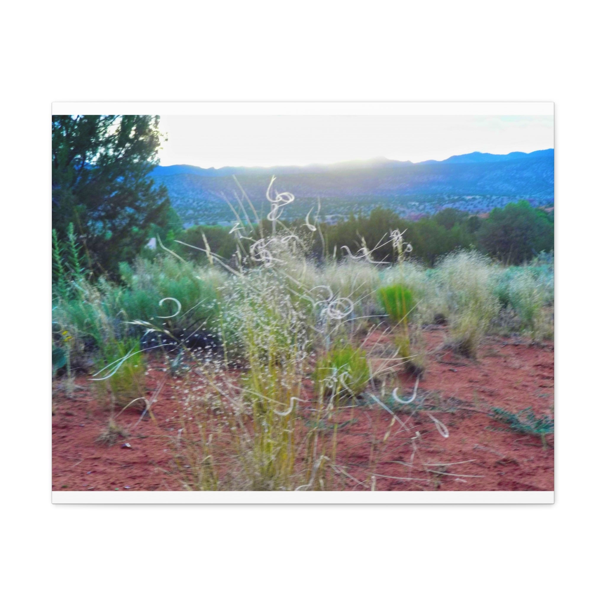 Serene Desert Landscape Canvas Print, Nature Wall Art, Home Decor, Gift for Nature Lovers, Rustic Art for Living Room, Boho Decor